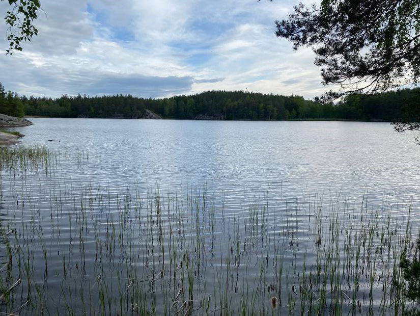 Villa, Östra Ny 245, Vikbolandet, Norrköping