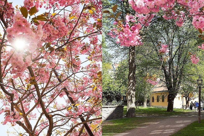 Bostadsrätt, Grubbensringen 5, Kungsholmen - S:t Eriksområdet, Stockholm