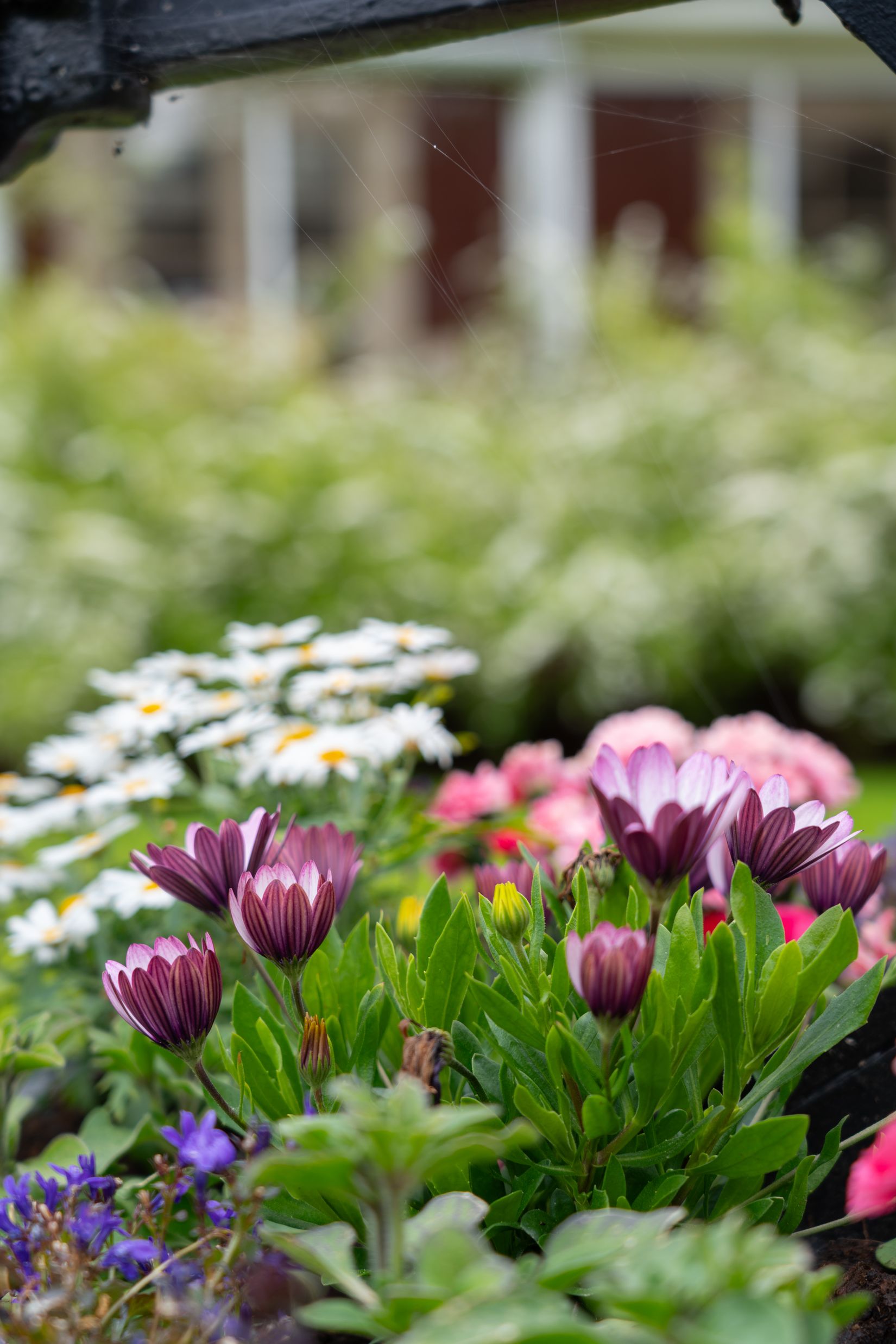 Villa, Lingonstigen 7, Härjedalen