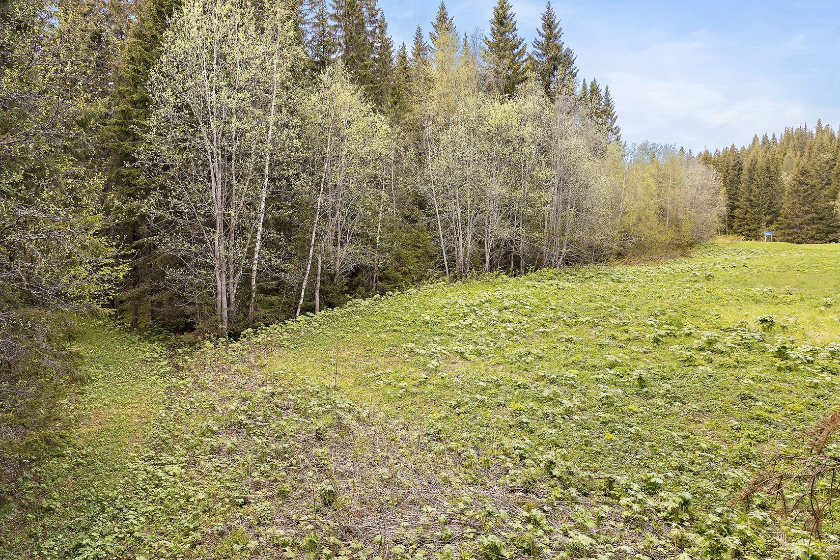 Tomt, Krokom tuvattnet 1:34, Krokom