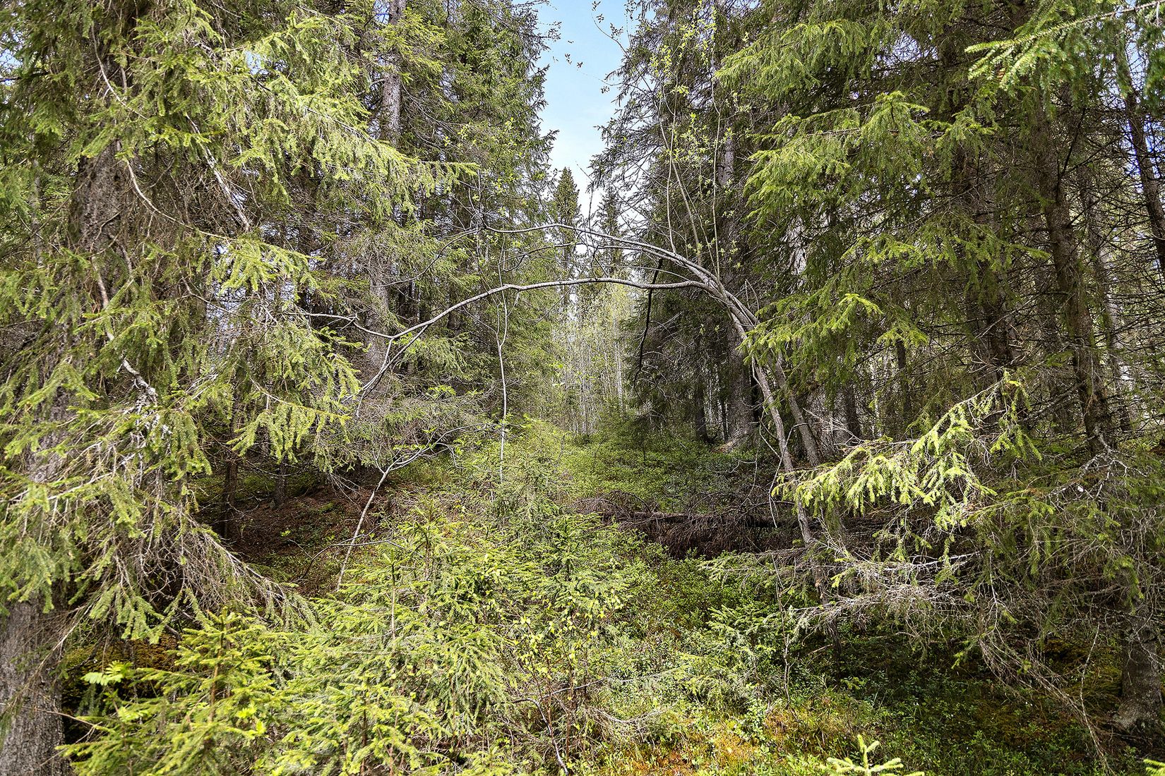 Tomt, Krokom tuvattnet 1:34, Krokom