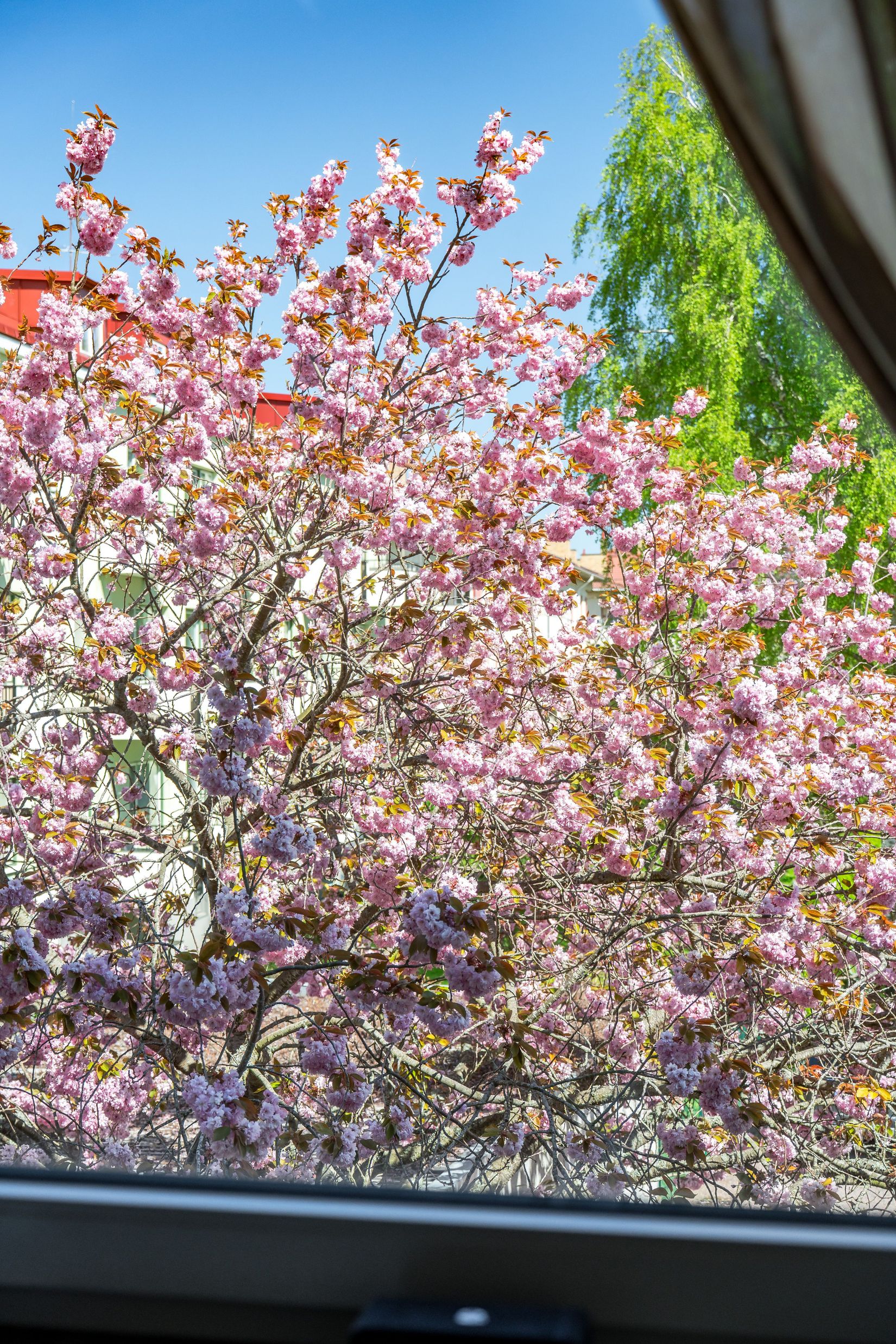 Bostadsrätt, Botvidsgatan 16A, Fålhagen, Uppsala