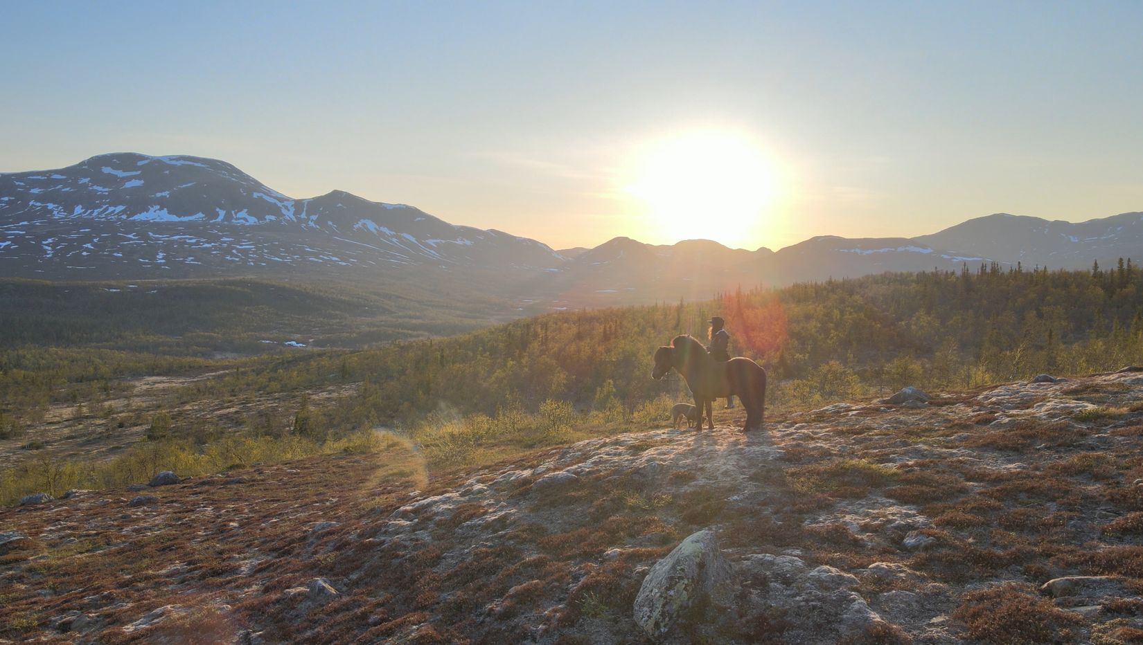 Tomt, Henriksfjäll 121B, Kittelfjäll, Vilhelmina