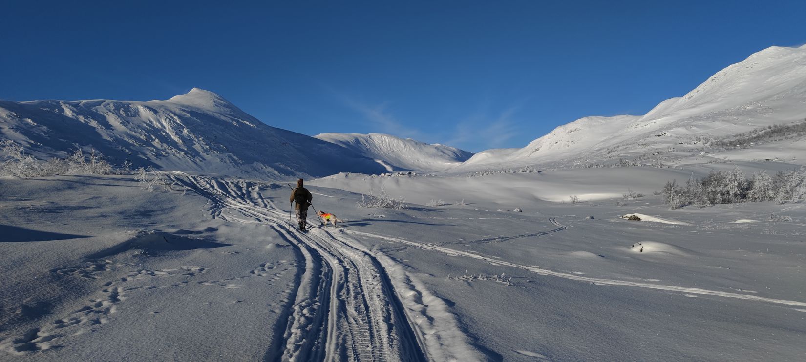 Tomt, Henriksfjäll 121B, Kittelfjäll, Vilhelmina