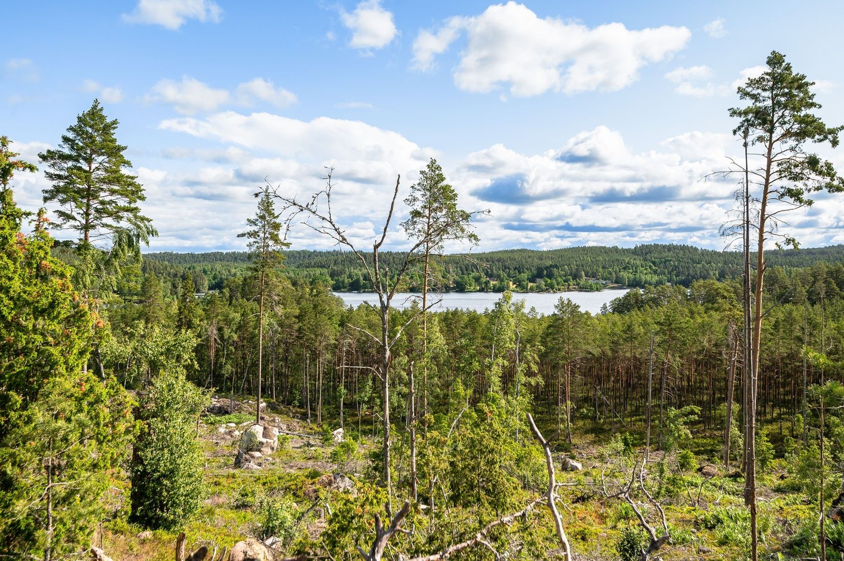 Tomt, BOXHOLM LANDSNÄS 1:33, Malexander, Boxholm