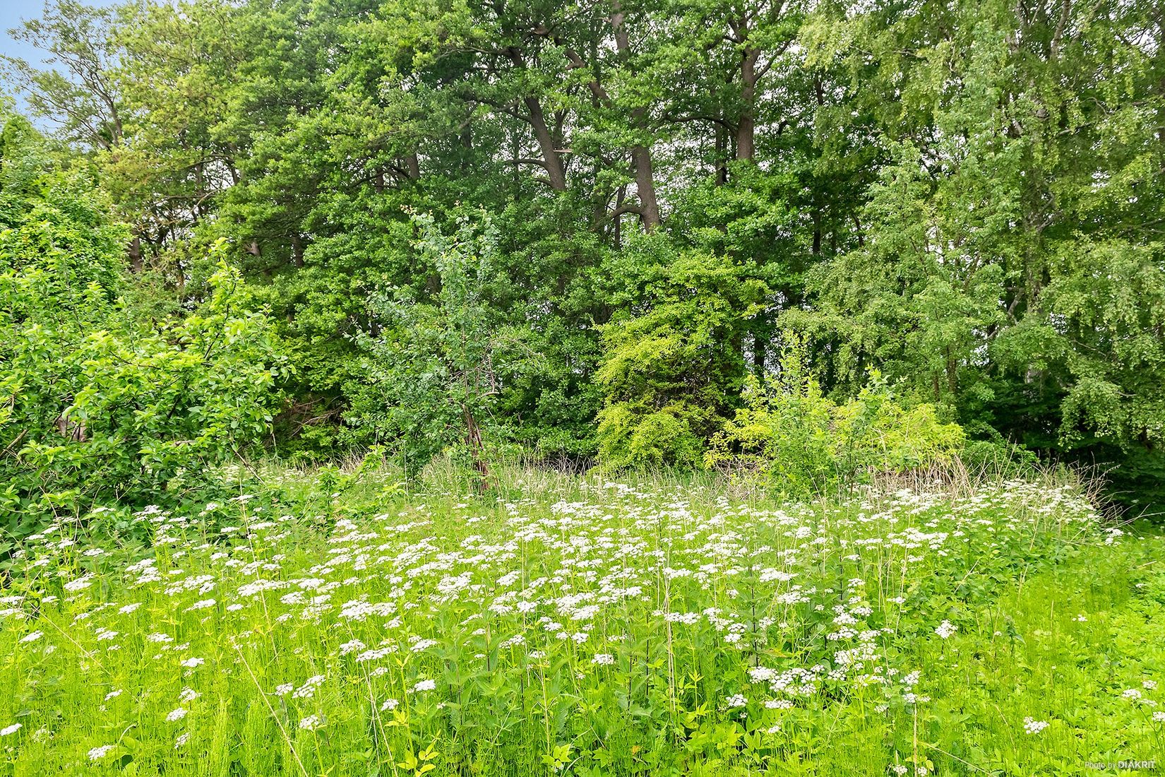 Tomt, Balsby sjöväg 49, Balsby, Kristianstad