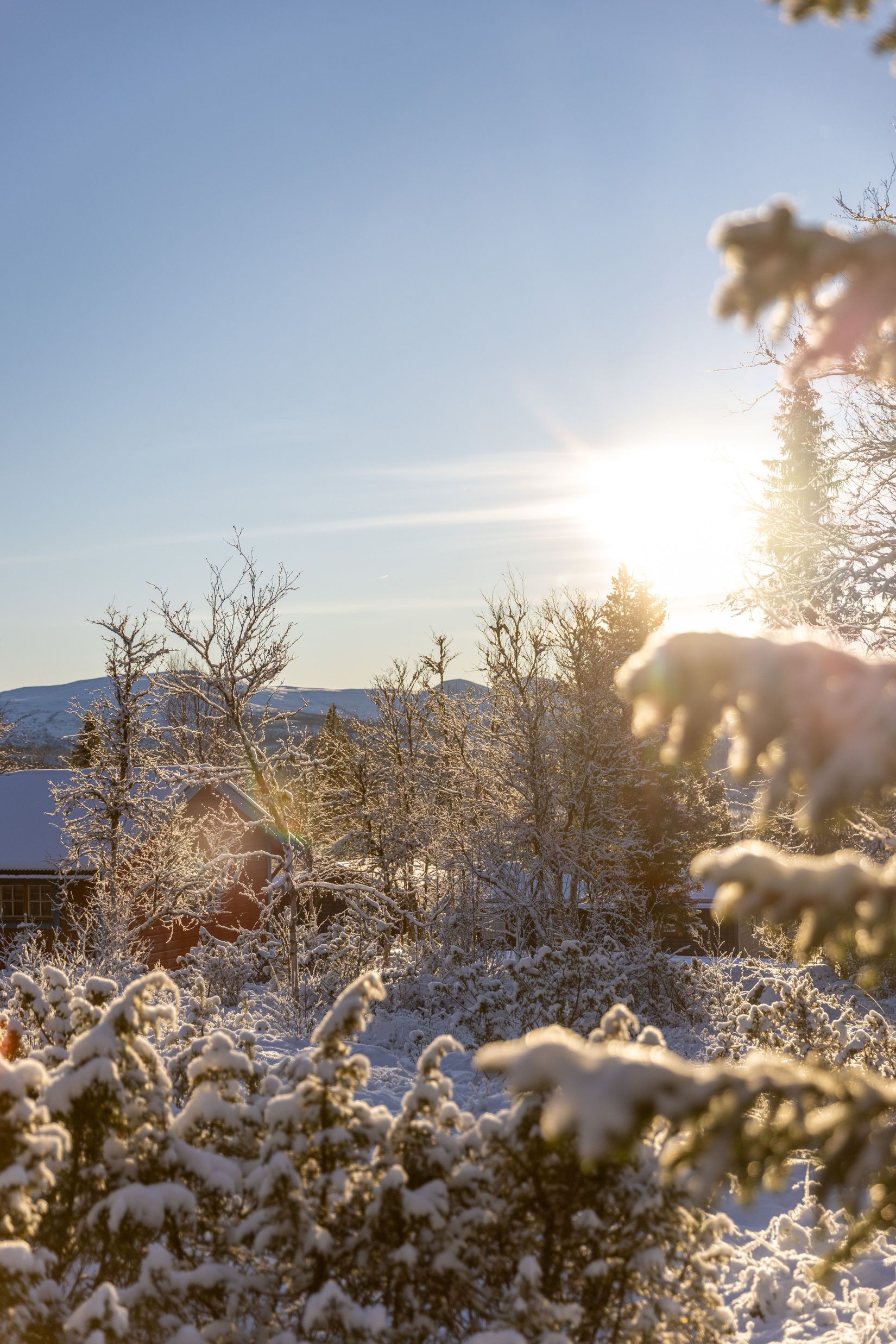 Fritidshus, Uppvallen Lövsångaren 11, Lofsdalen - Uppvallen, Härjedalen