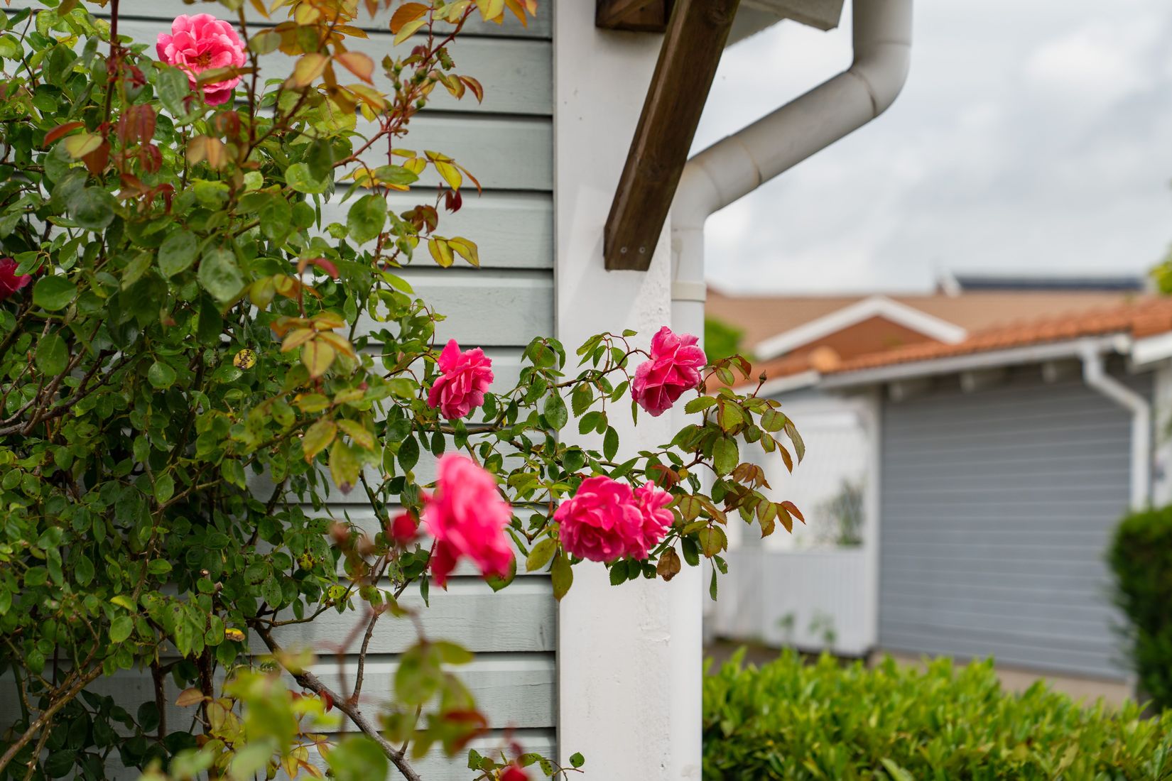 Bostadsrätt, Radhus, Veckogatan 25, Västergård, Helsingborg