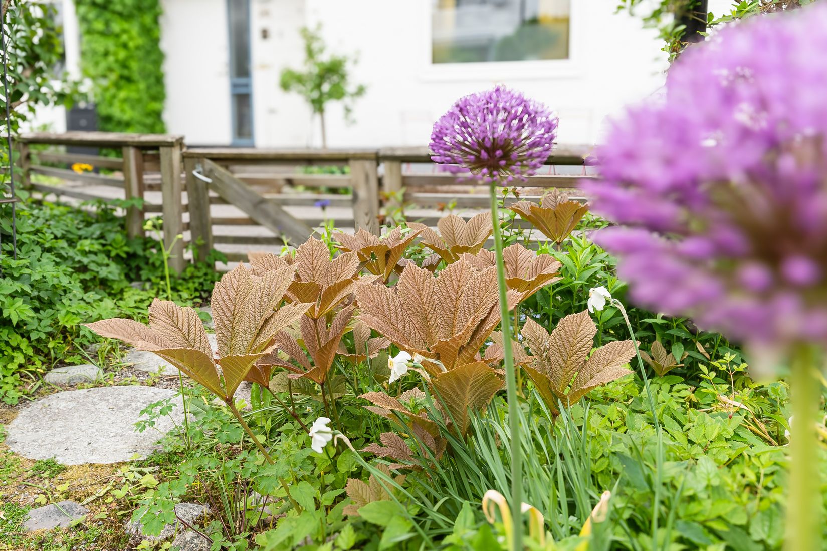 Villa, Radhus, Viksängsgatan 14, Viksäng, Västerås