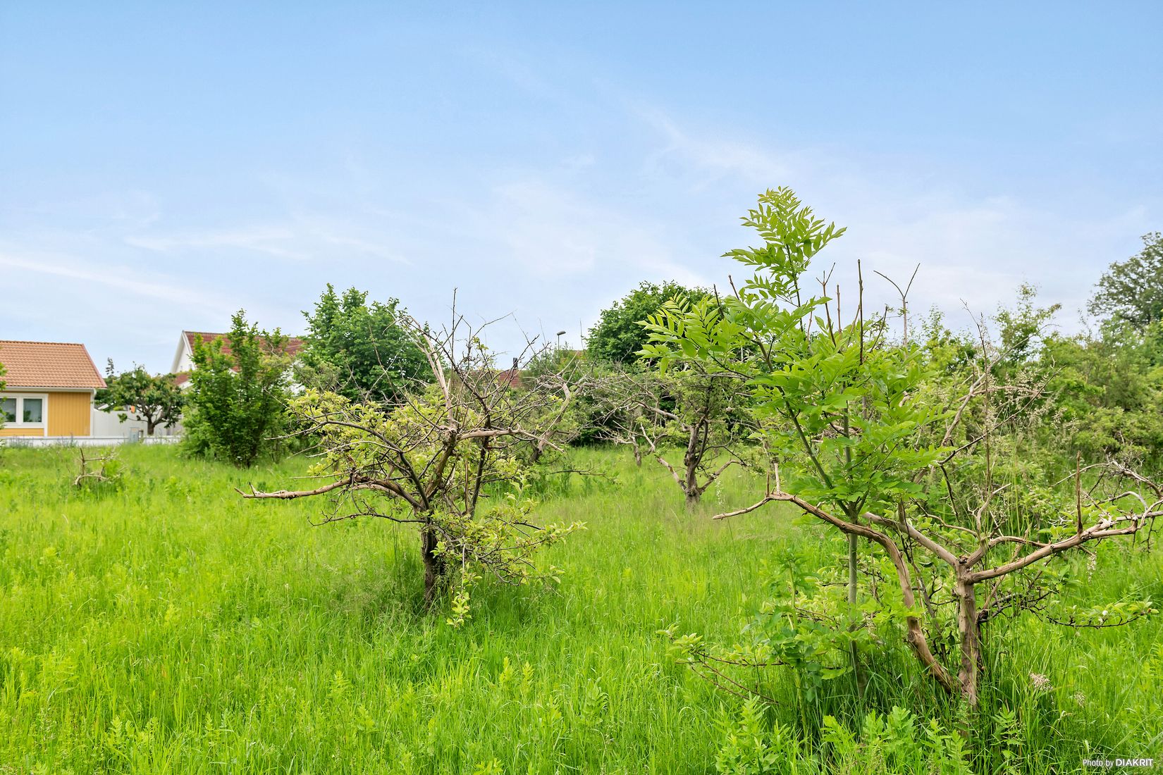 Tomt, Balsby sjöväg 39, Balsby, Kristianstad