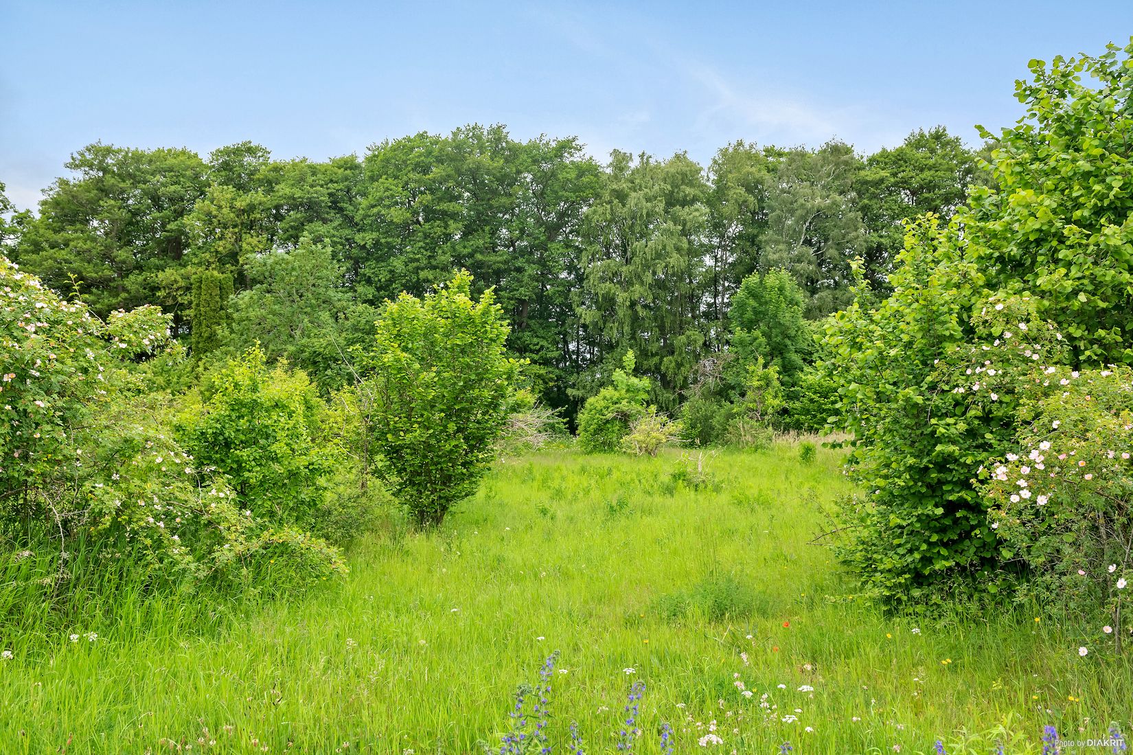 Tomt, Balsby sjöväg 39, Balsby, Kristianstad