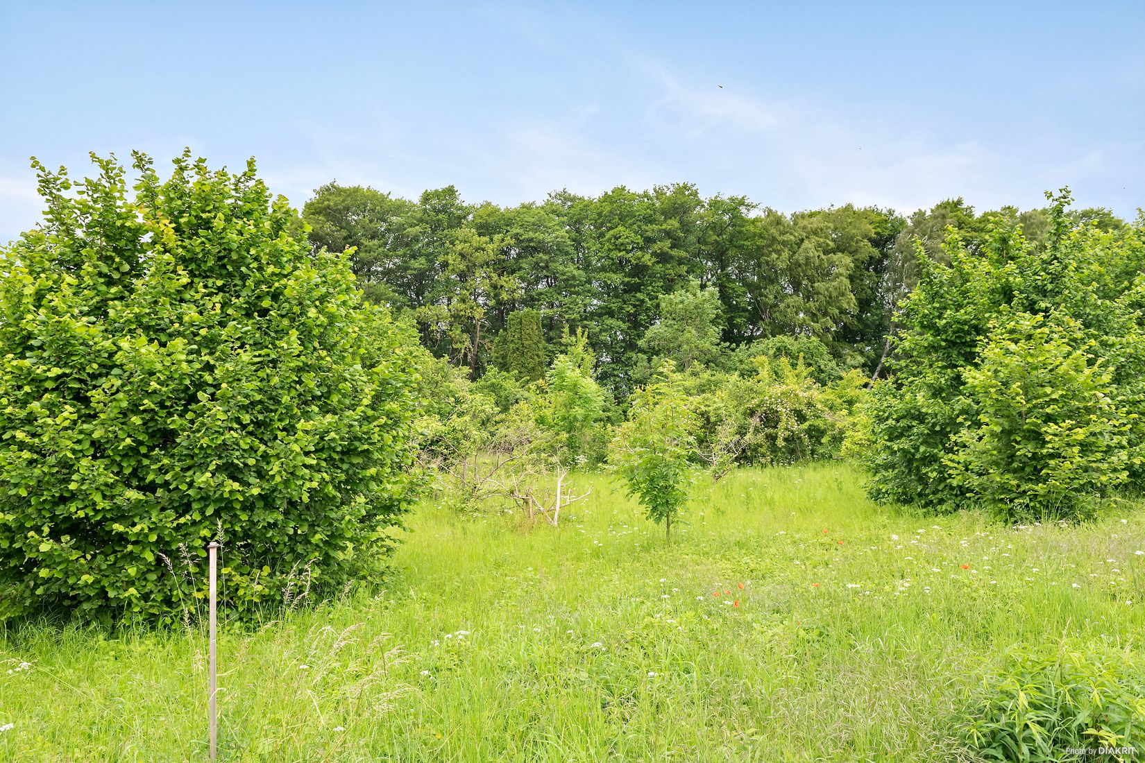Tomt, Balsby sjöväg 39, Balsby, Kristianstad