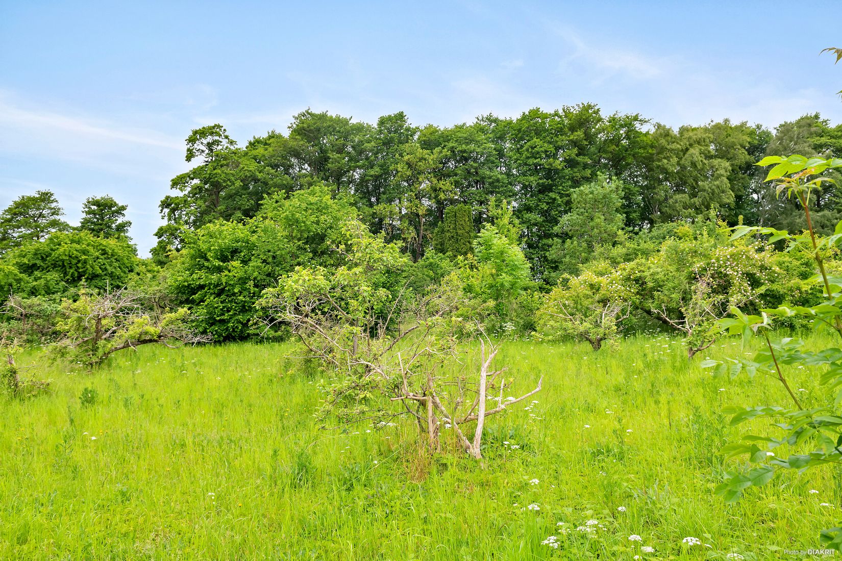 Tomt, Balsby sjöväg 39, Balsby, Kristianstad