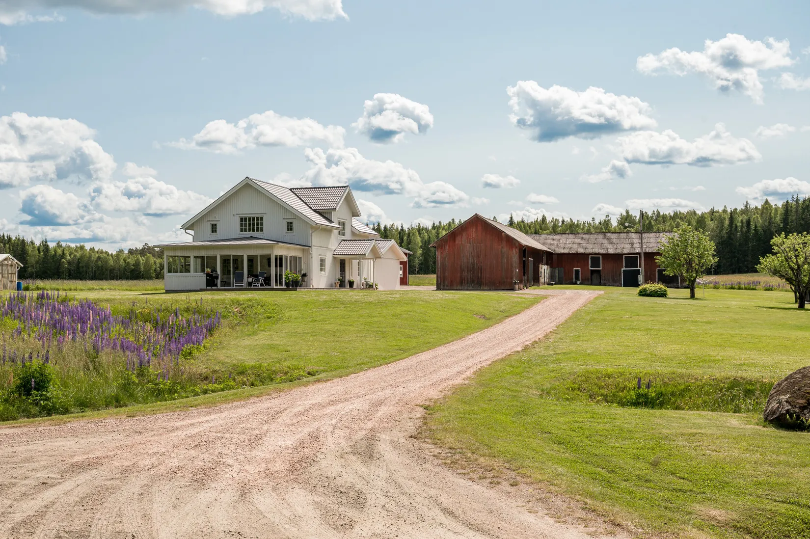 Gård/Skog, Bada 42, Bada, Torsby