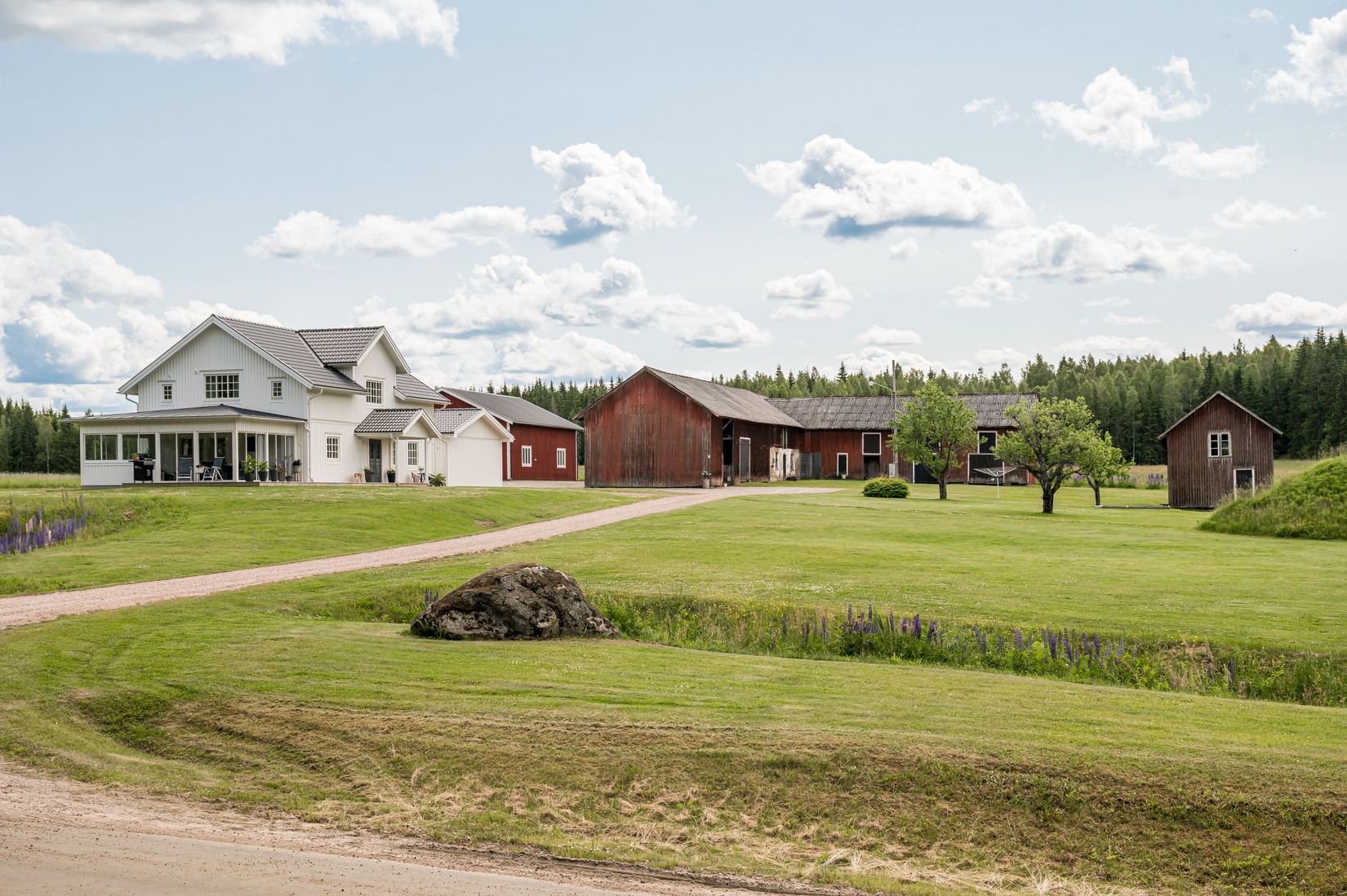 Gård/Skog, Bada 42, Bada, Torsby