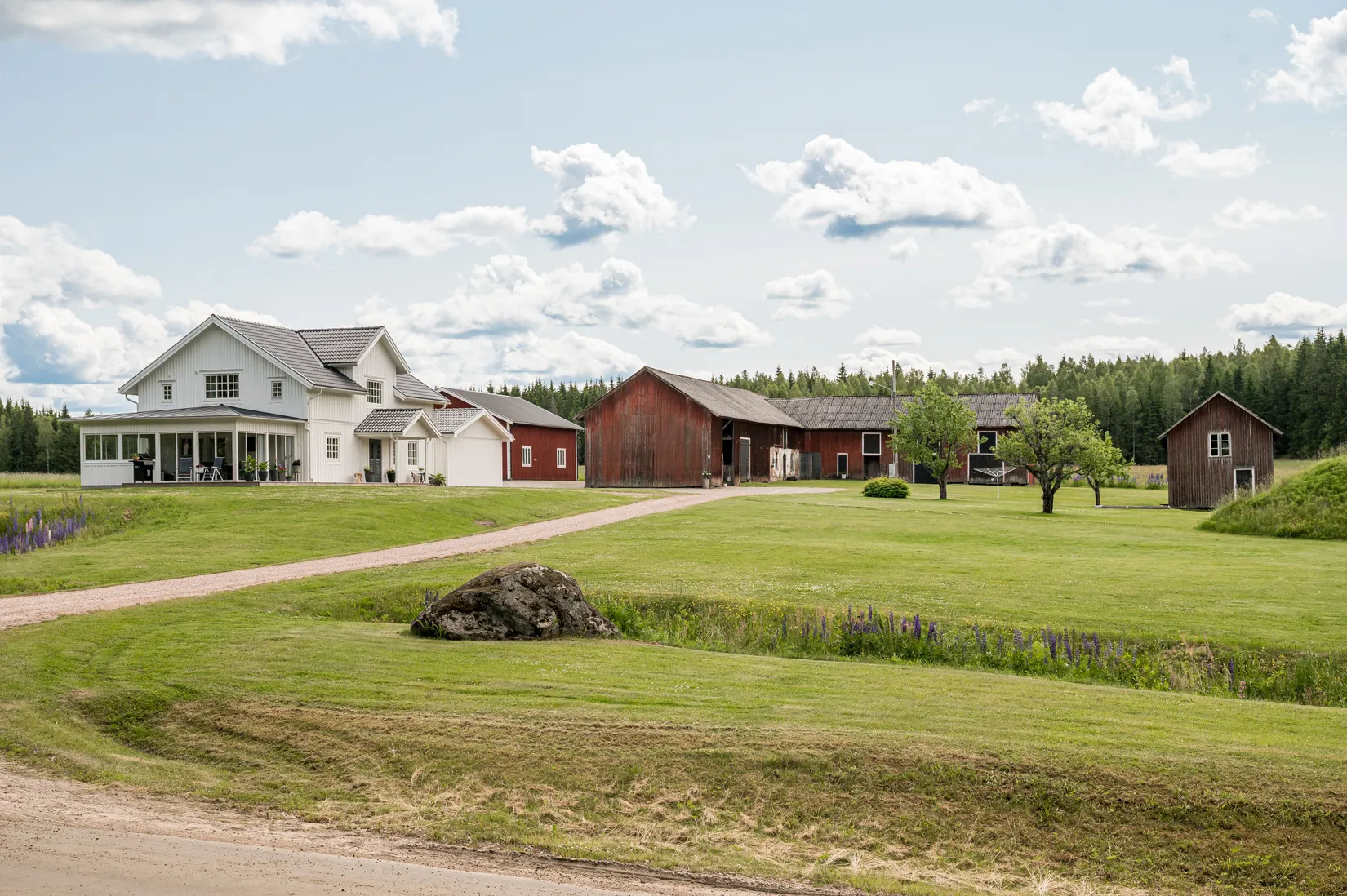 Gård/Skog, Bada 42, Bada, Torsby