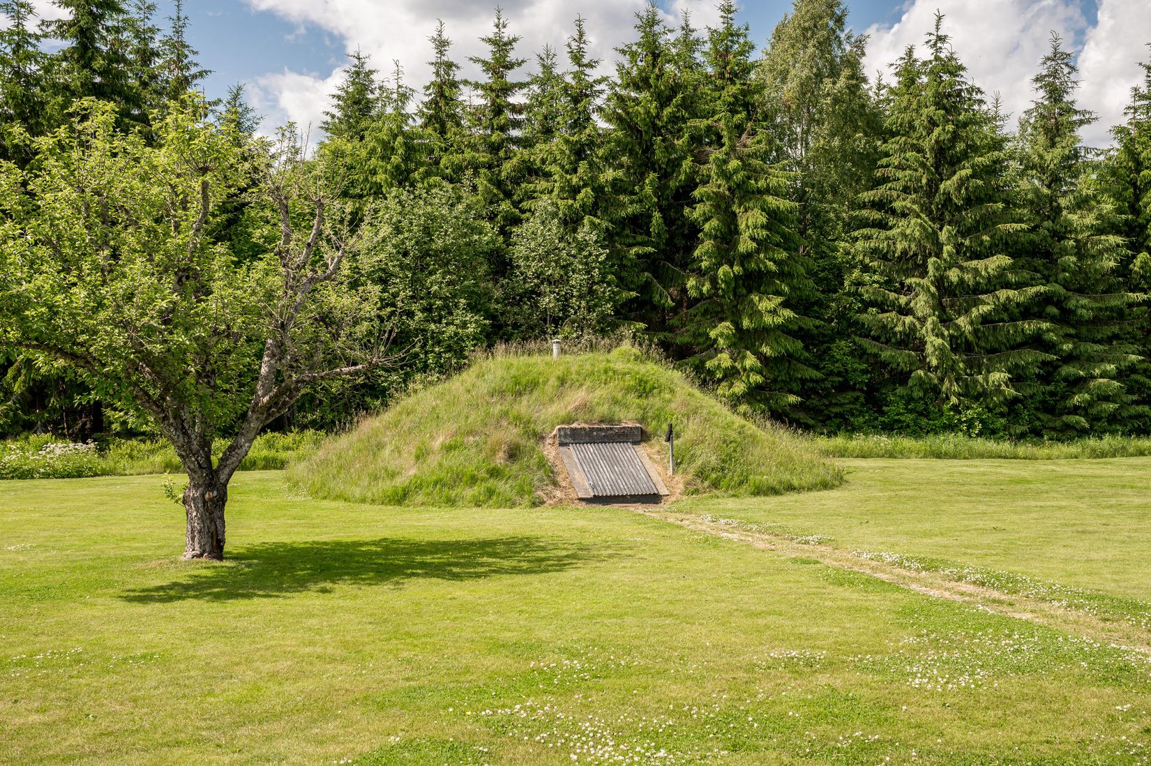 Gård/Skog, Bada 42, Bada, Torsby