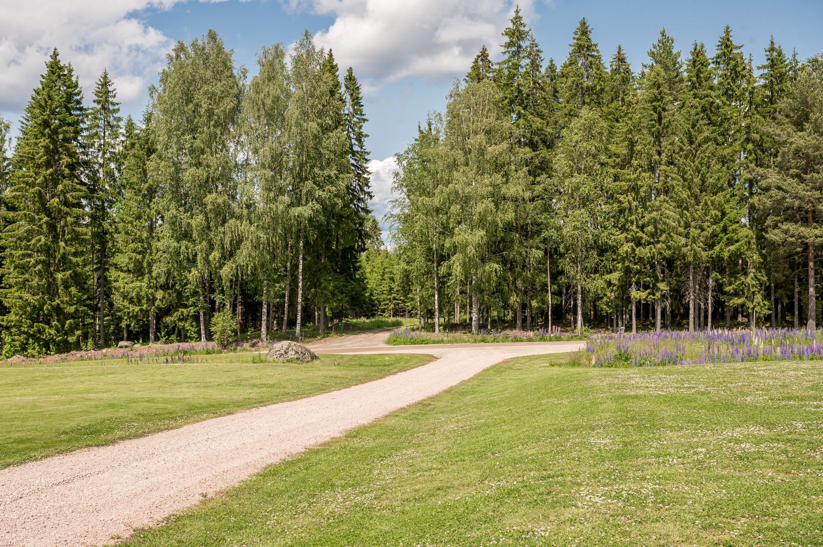 Gård/Skog, Bada 42, Bada, Torsby