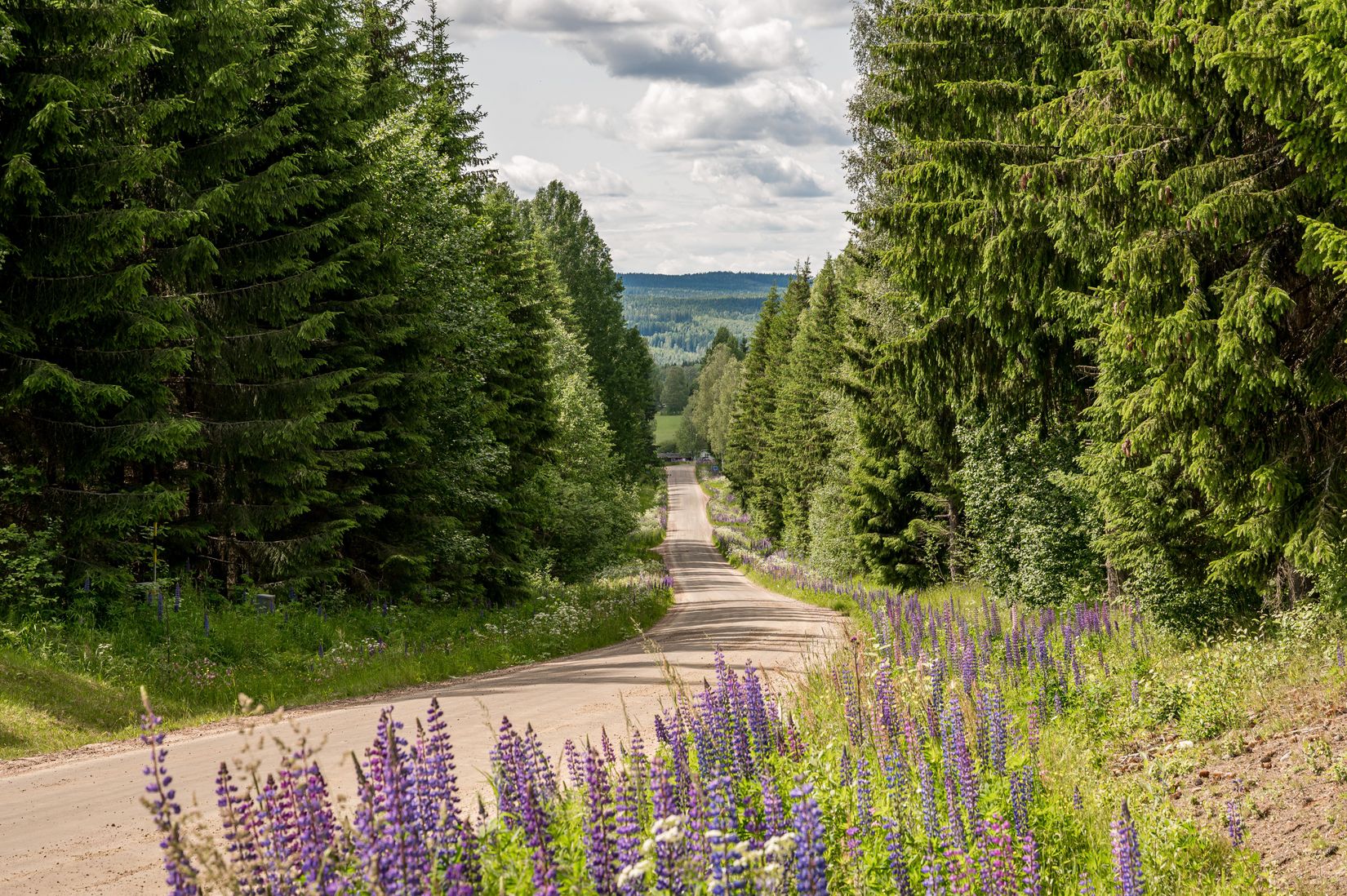 Gård/Skog, Bada 42, Bada, Torsby
