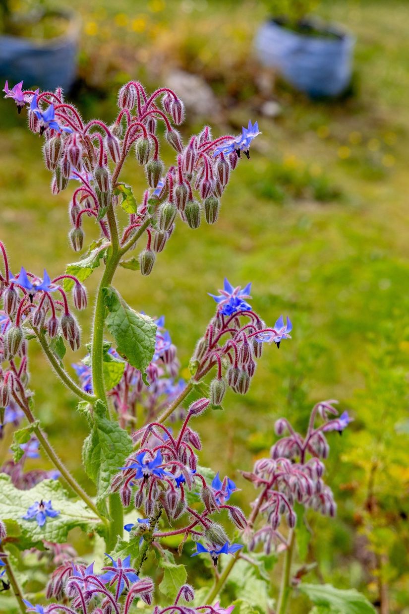 Villa, Annelundsgränd 3, Centralt, Mönsterås