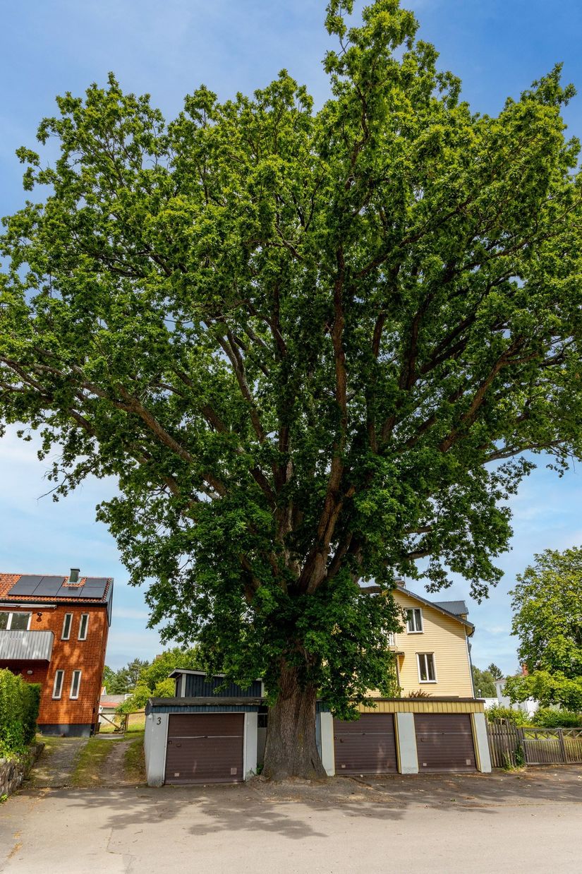 Villa, Annelundsgränd 3, Centralt, Mönsterås