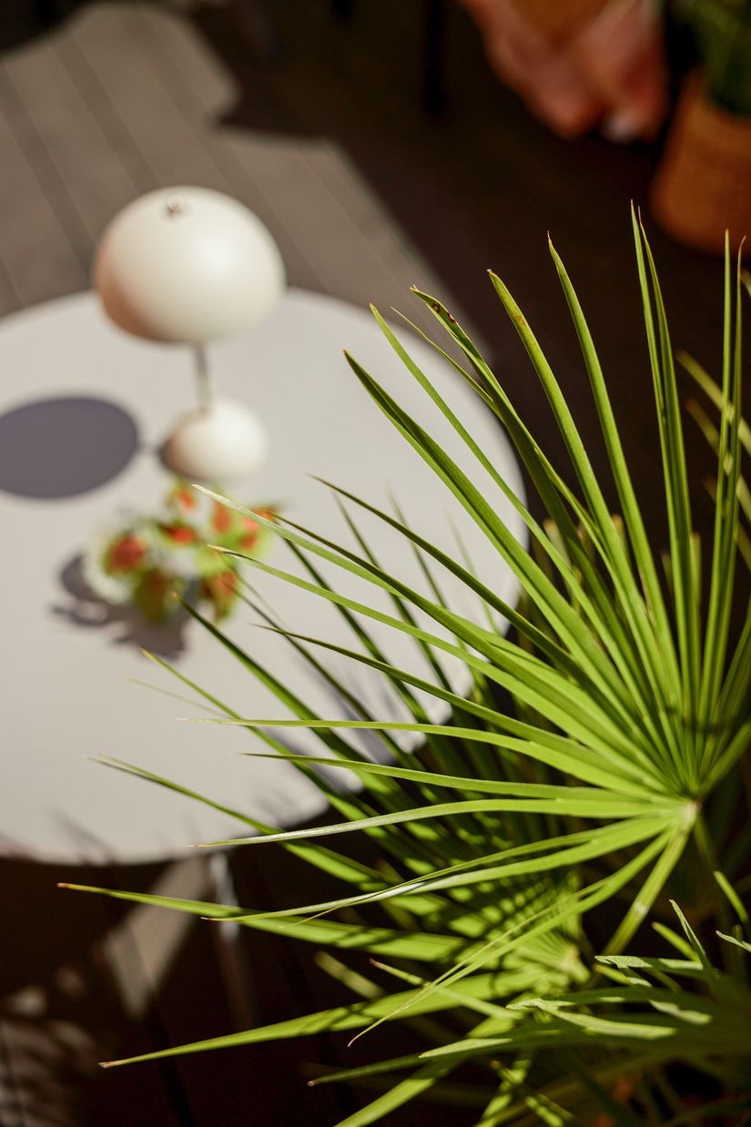 Bostadsrätt, Smålandsgatan 1A, Söder, Växjö