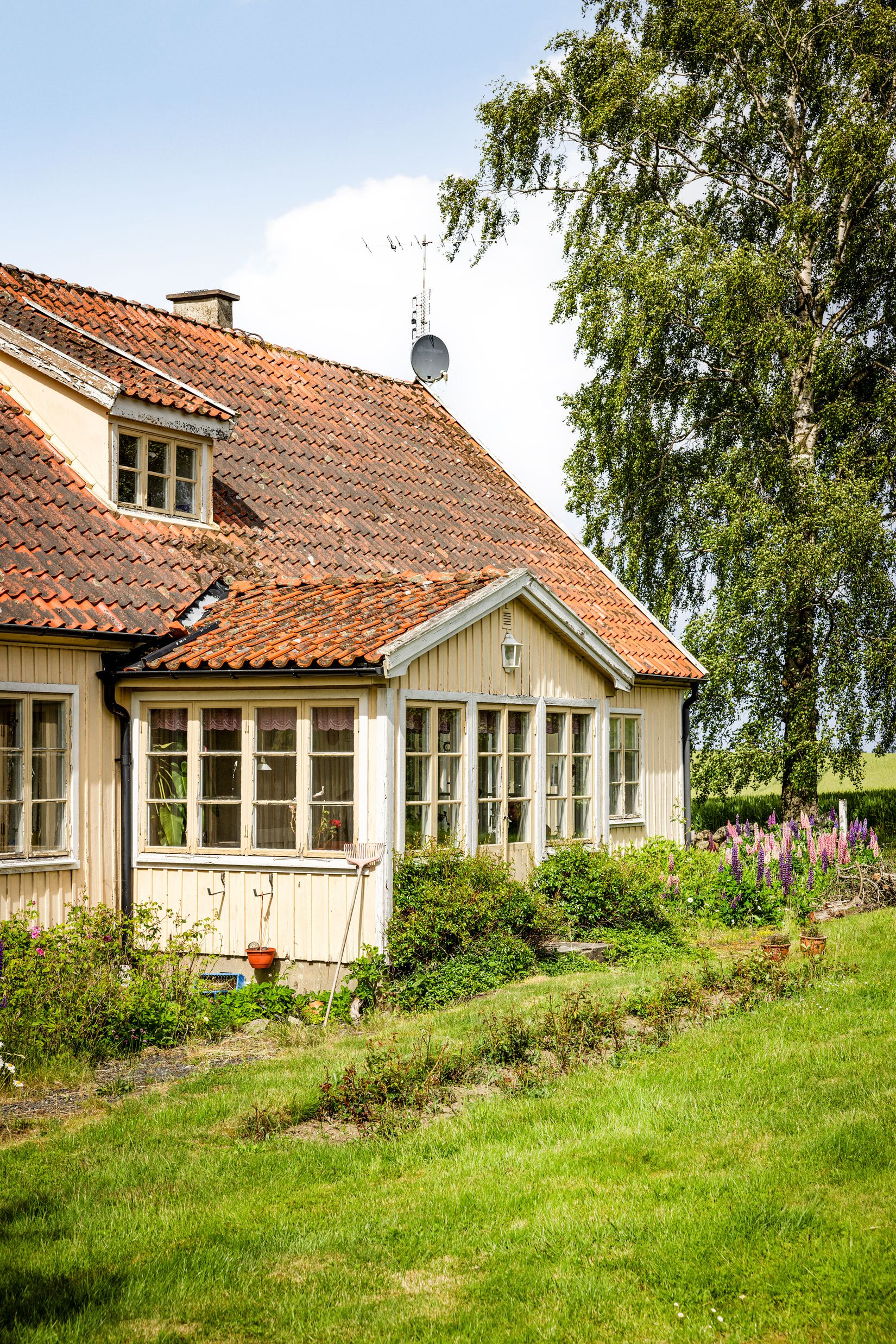 Gård/Skog, Hjälmarödsvägen 20, Hjälmaröd, Simrishamn
