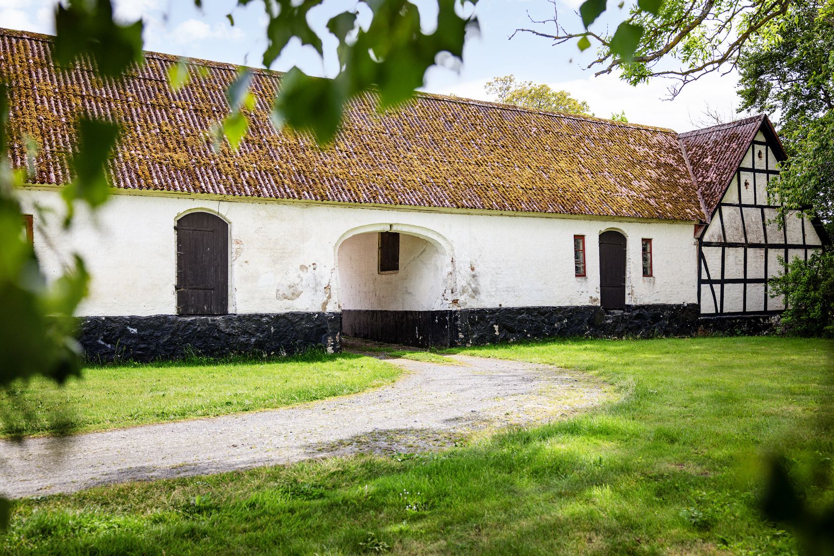 Gård/Skog, Hjälmarödsvägen 20, Hjälmaröd, Simrishamn