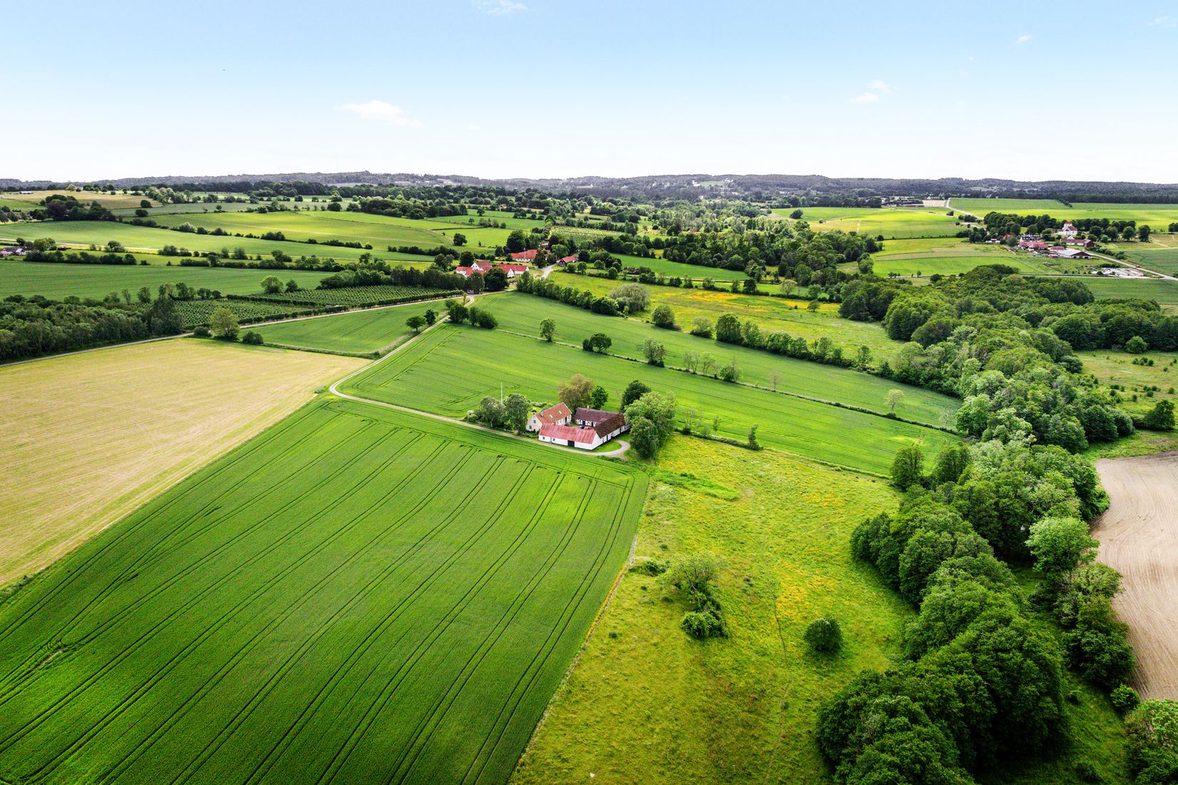 Gård/Skog, Hjälmarödsvägen 20, Hjälmaröd, Simrishamn