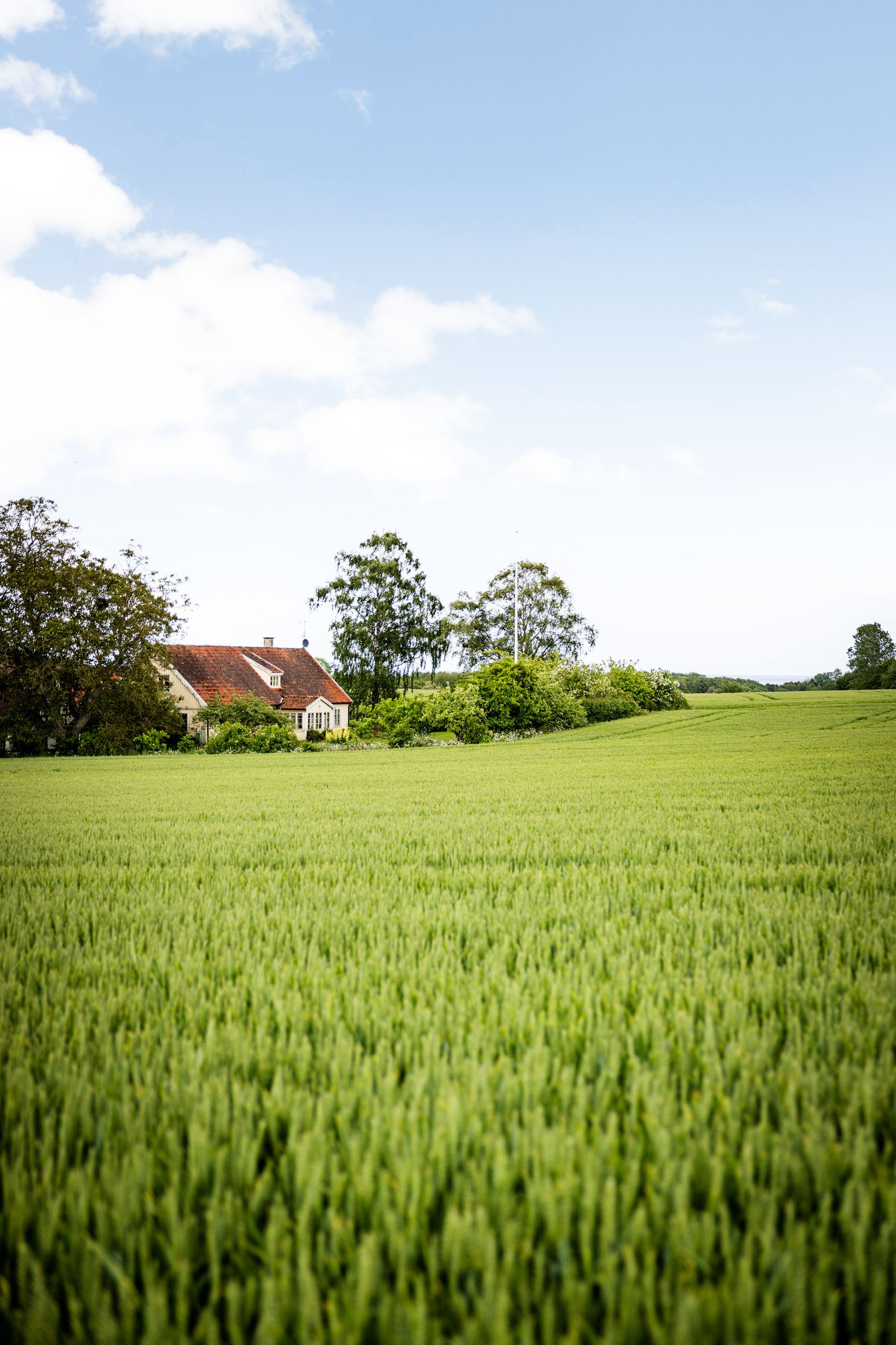 Gård/Skog, Hjälmarödsvägen 20, Hjälmaröd, Simrishamn