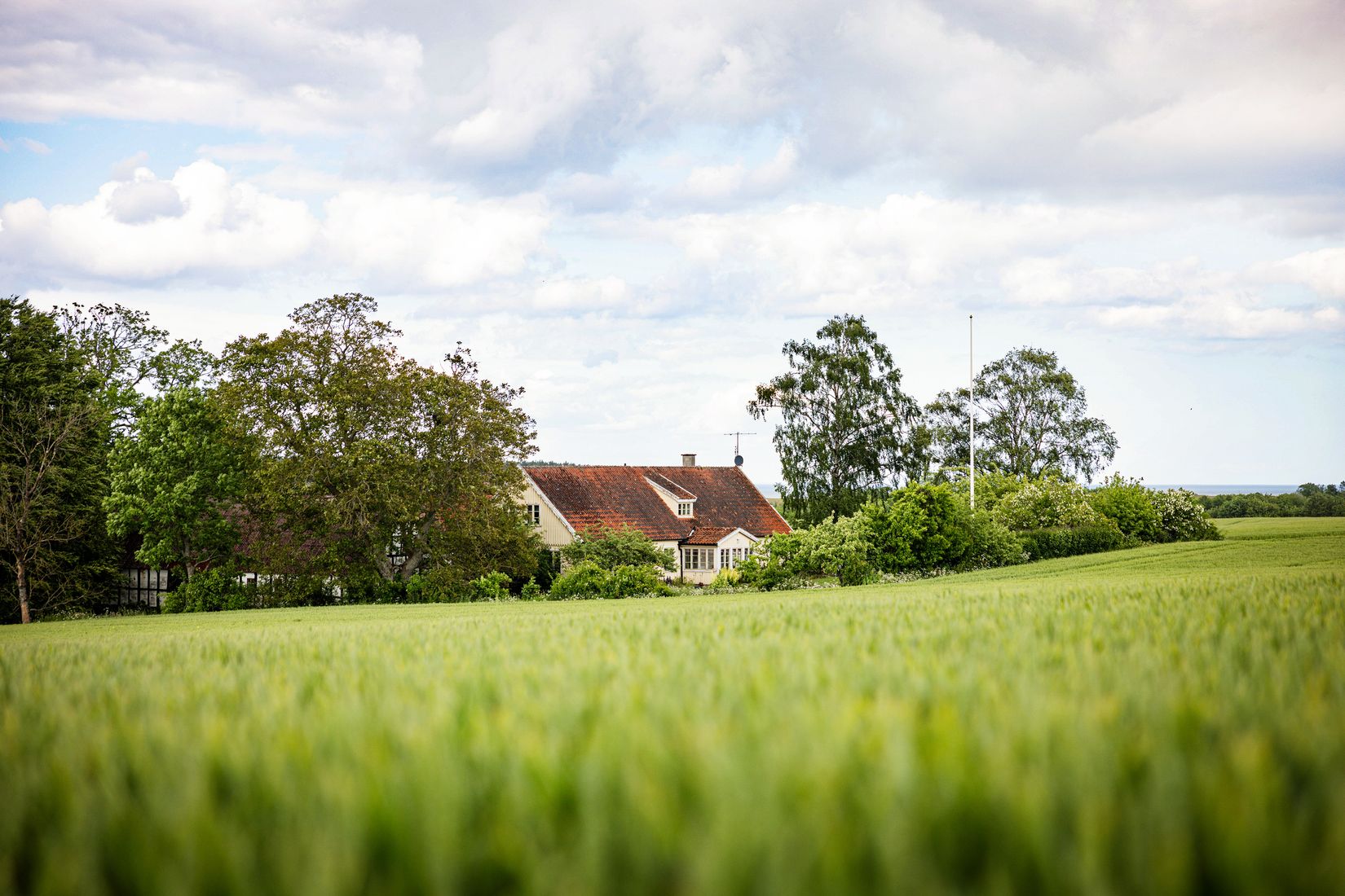 Gård/Skog, Hjälmarödsvägen 20, Hjälmaröd, Simrishamn