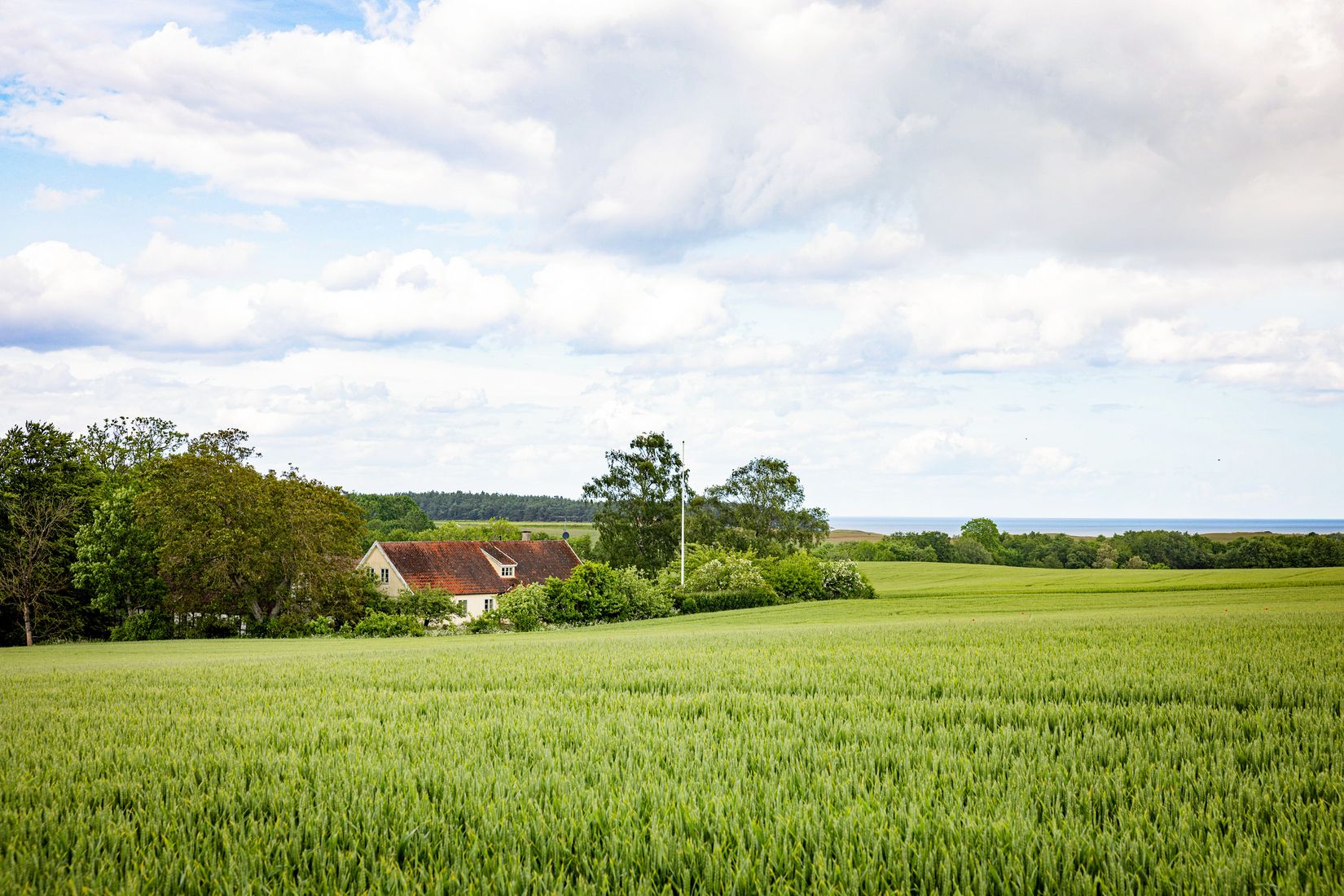Gård/Skog, Hjälmarödsvägen 20, Hjälmaröd, Simrishamn