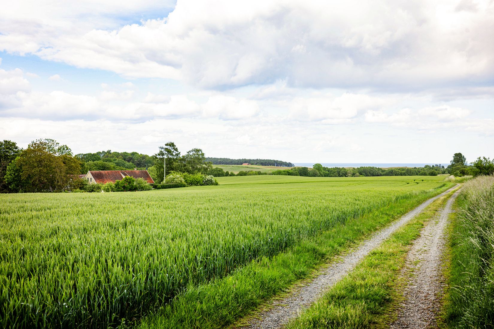 Gård/Skog, Hjälmarödsvägen 20, Hjälmaröd, Simrishamn