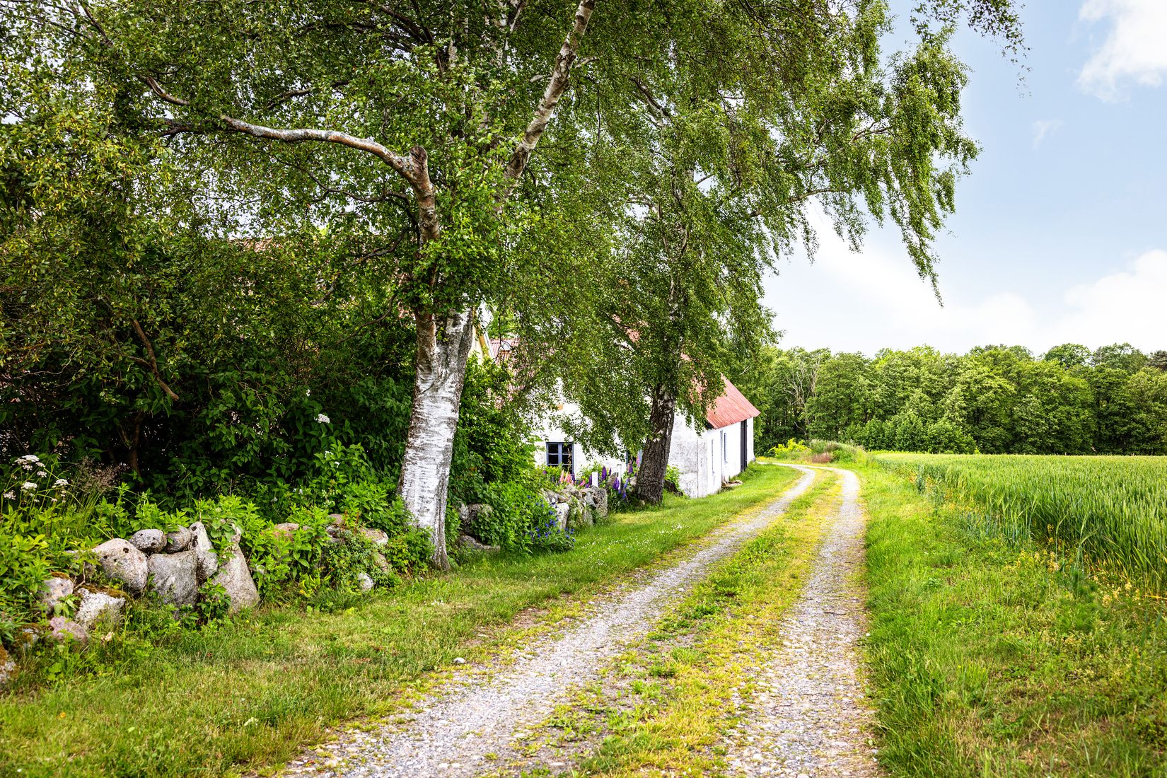 Gård/Skog, Hjälmarödsvägen 20, Hjälmaröd, Simrishamn
