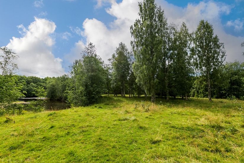 Gård/Skog, Ingelshyttan 308, Lindesberg