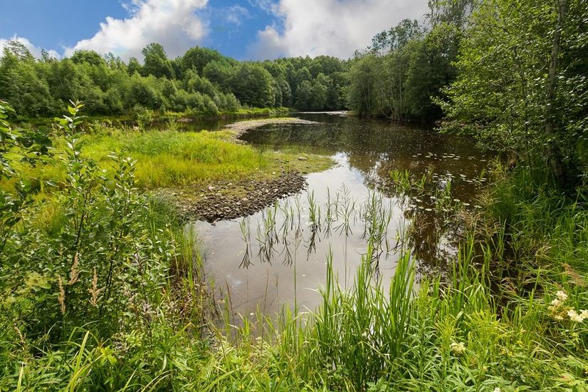 Gård/Skog, Ingelshyttan 308, Lindesberg
