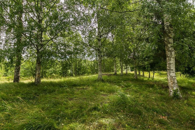 Gård/Skog, Ingelshyttan 308, Lindesberg