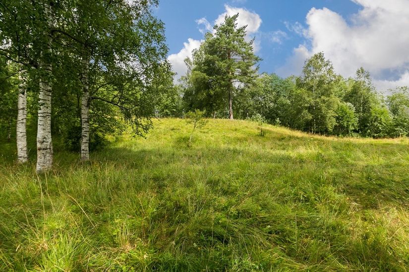 Gård/Skog, Ingelshyttan 308, Lindesberg