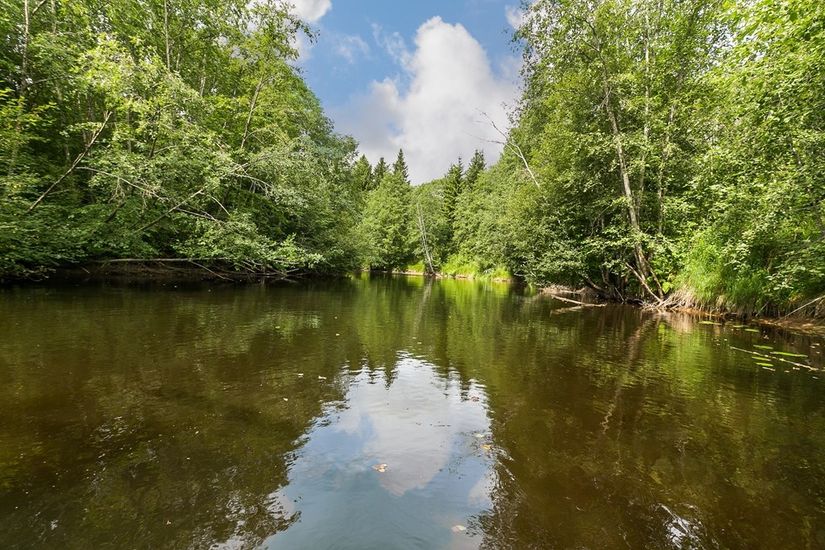 Gård/Skog, Ingelshyttan 308, Lindesberg