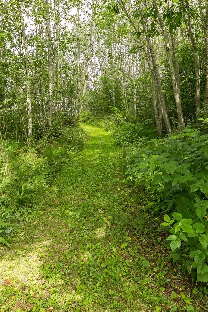 Gård/Skog, Ingelshyttan 308, Lindesberg