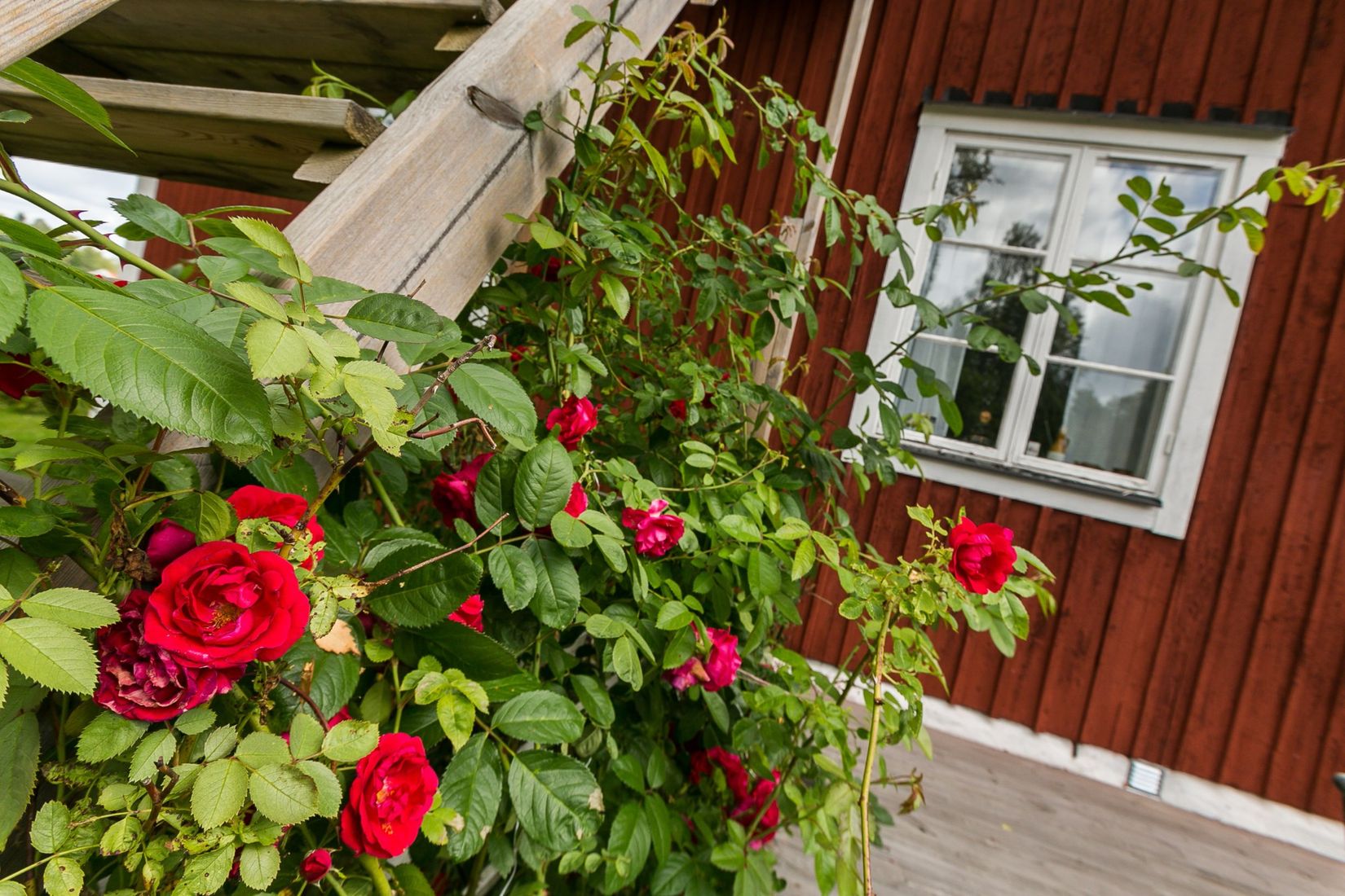 Gård/Skog, Ingelshyttan 308, Lindesberg