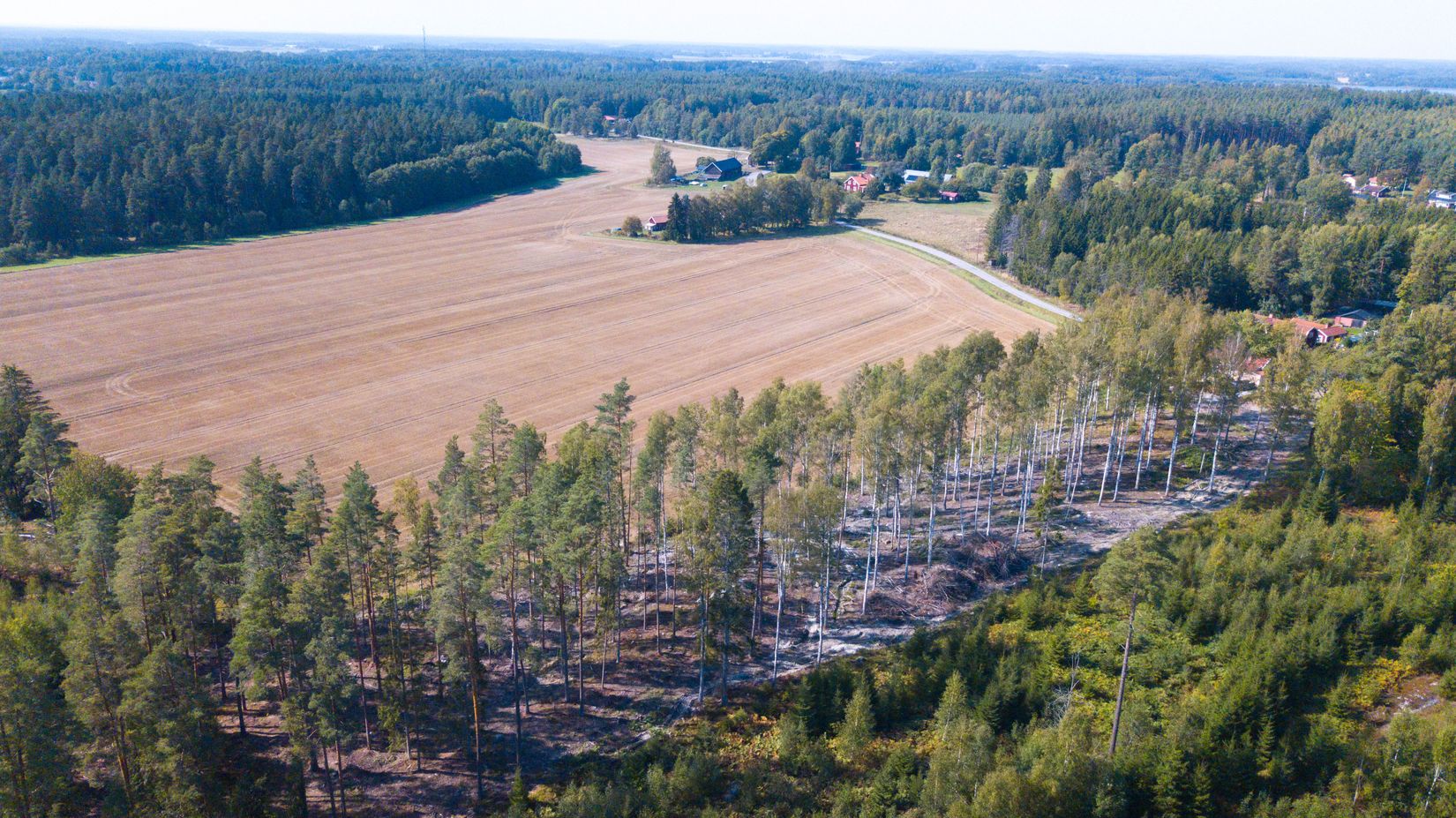 Tomt, Tomter Stigtomta-björka 1:4, Stigtomta, Nyköping