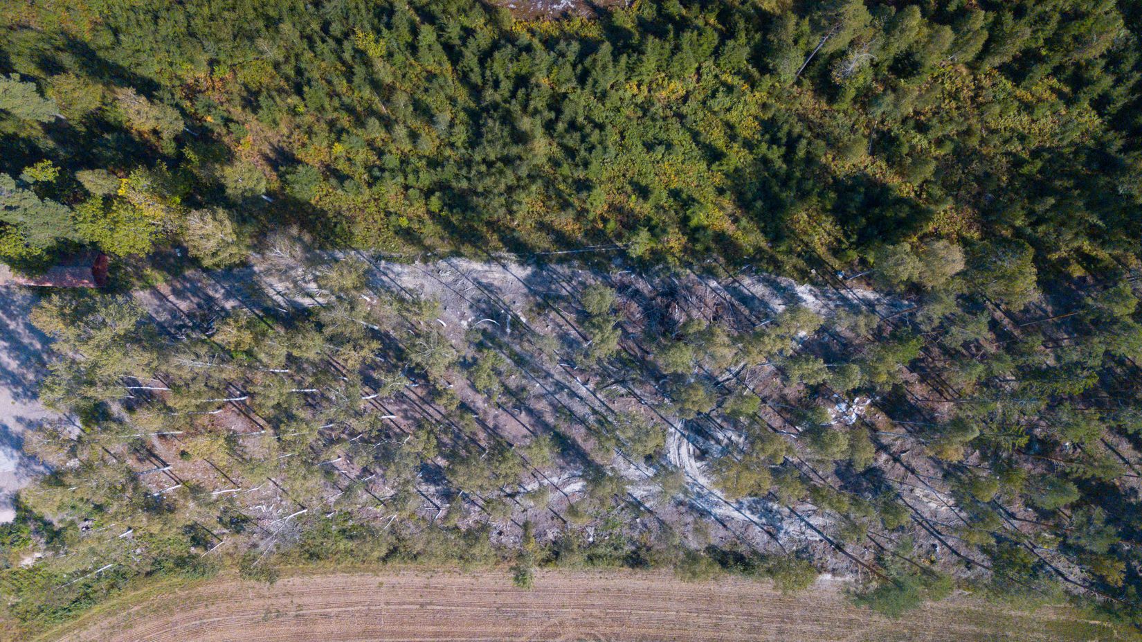 Tomt, Tomter Stigtomta-björka 1:4, Stigtomta, Nyköping