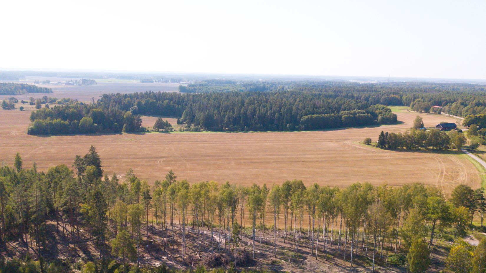 Tomt, Tomter Stigtomta-björka 1:4, Stigtomta, Nyköping