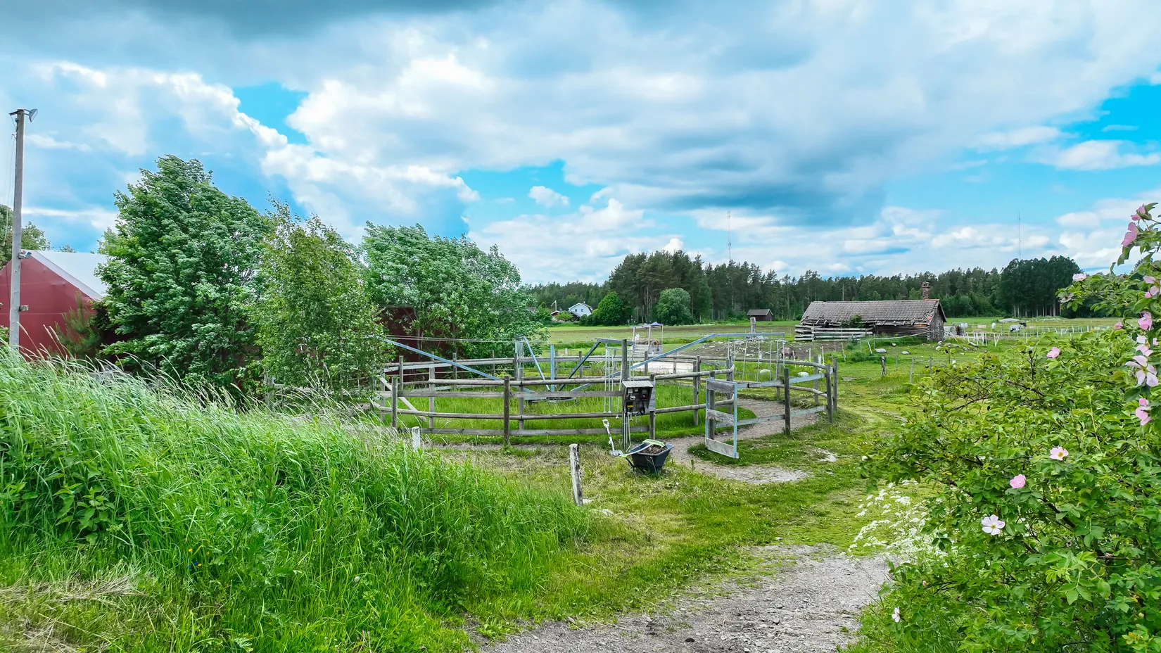 Gård/Skog, Trödjevägen 49, Trödje, Gävle