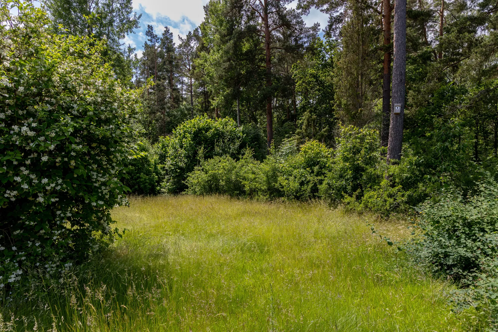 Villa, Mossgatan 6, Tratten, Oskarshamn