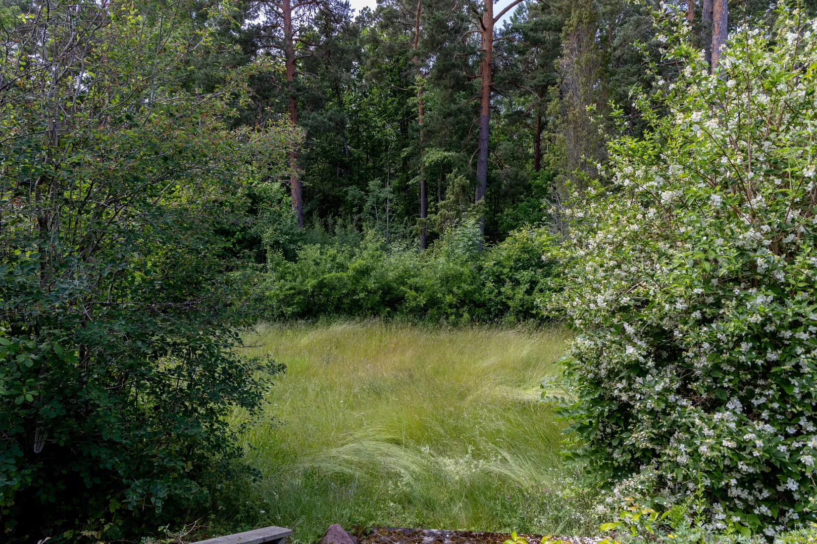 Villa, Mossgatan 6, Tratten, Oskarshamn