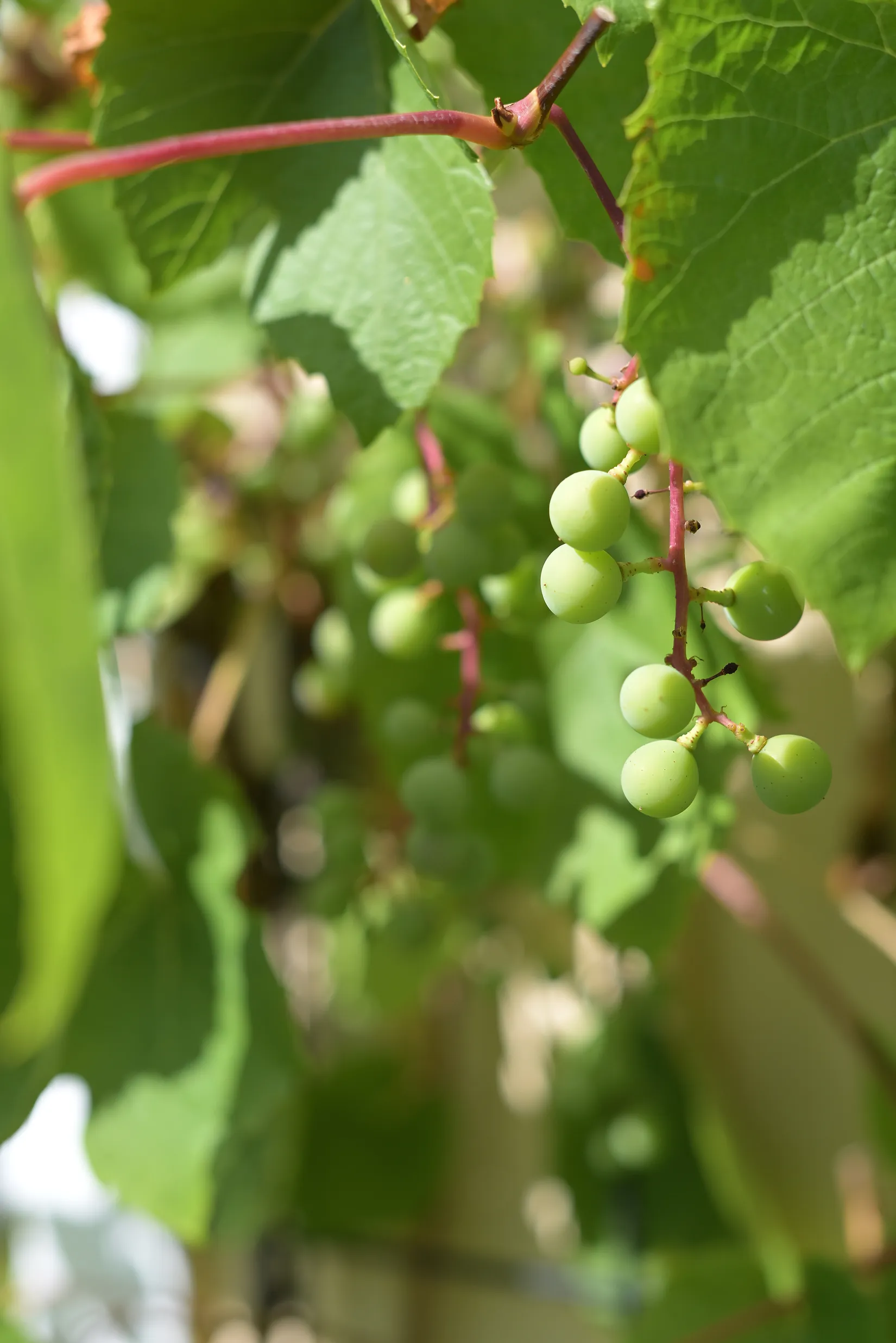 Bostadsrätt, J A Linders väg 70, Umedalen, Umeå