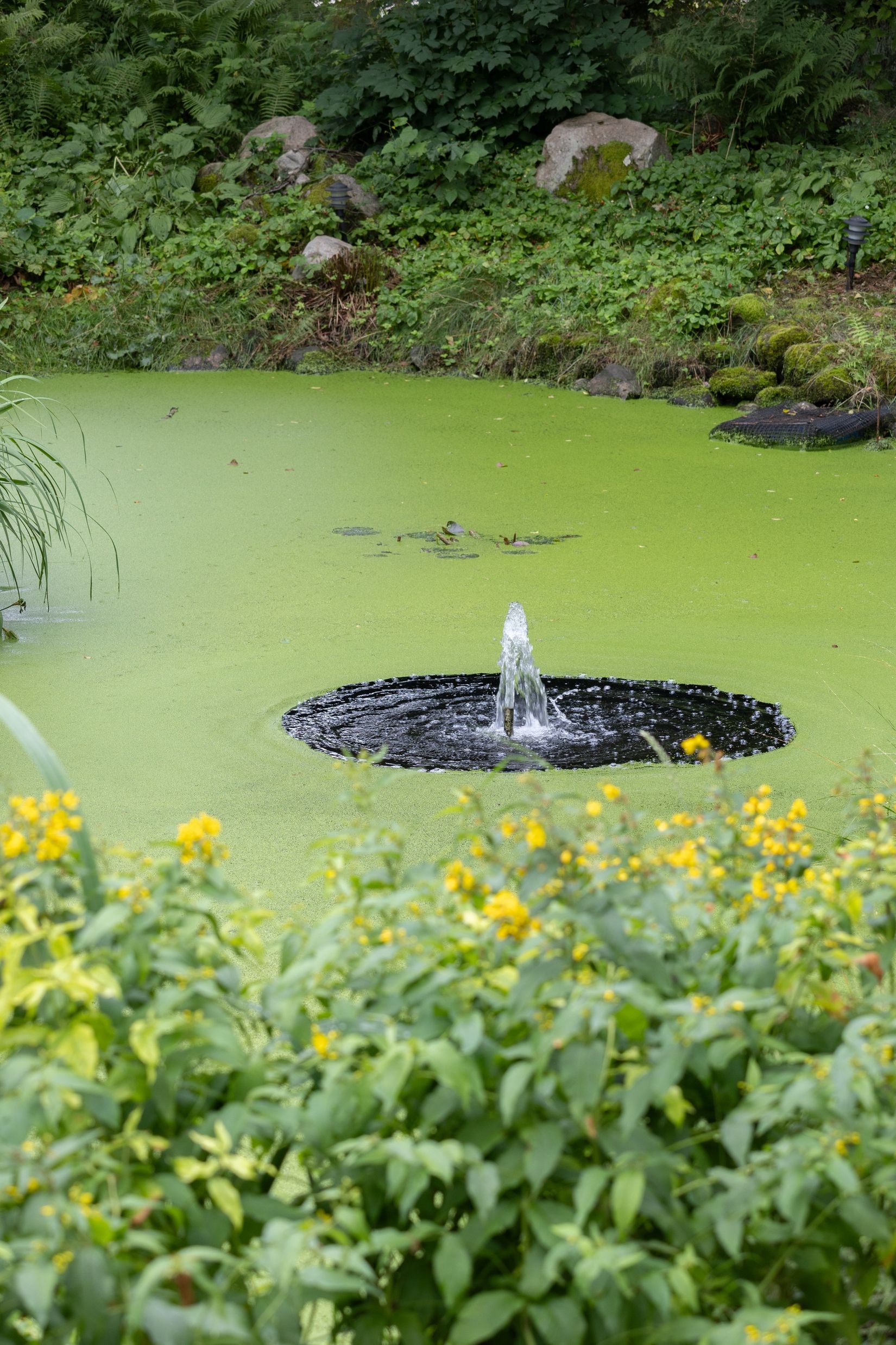 Villa, Gånarps backaväg 3, Gånarp, Ängelholm