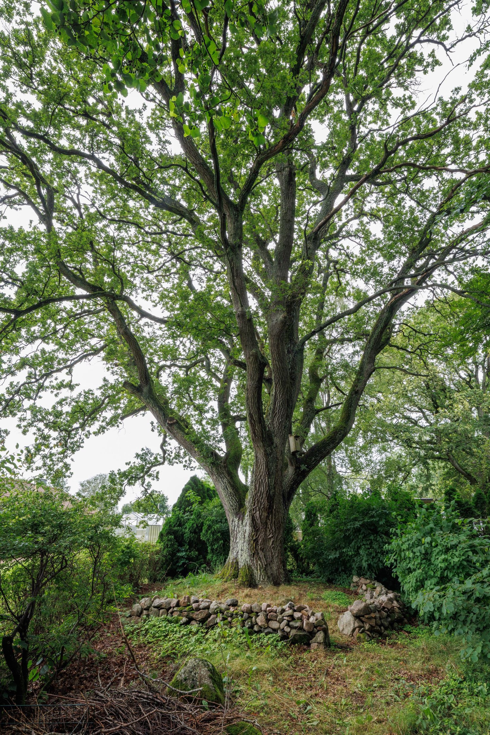 Villa, Gånarps backaväg 3, Gånarp, Ängelholm